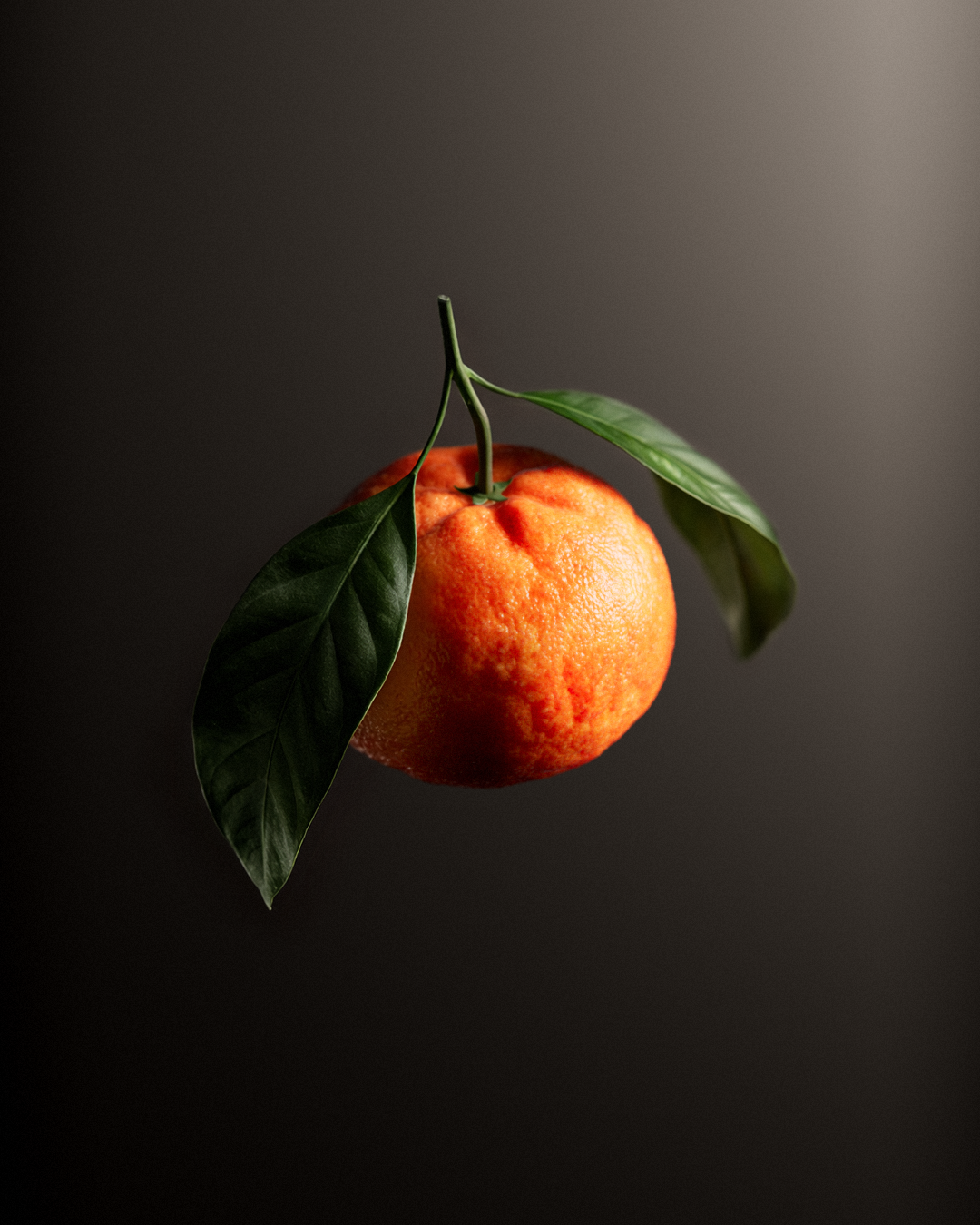 Un mandarino con foglie verdi attaccate, su sfondo scuro.