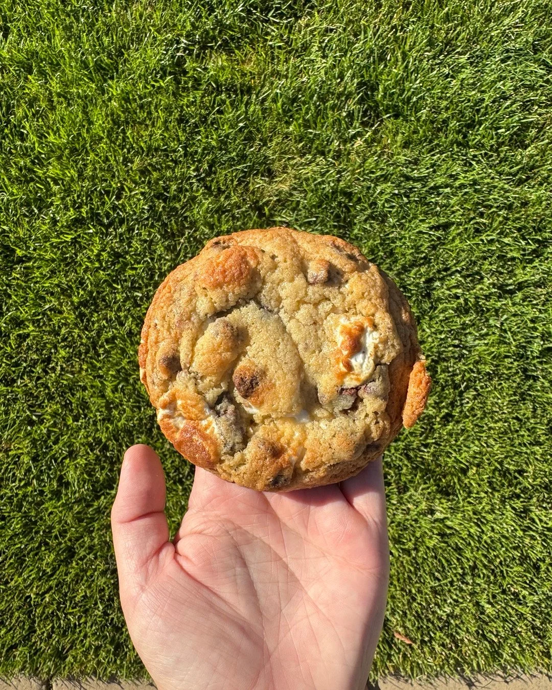 S'mores! (Half Dozen)