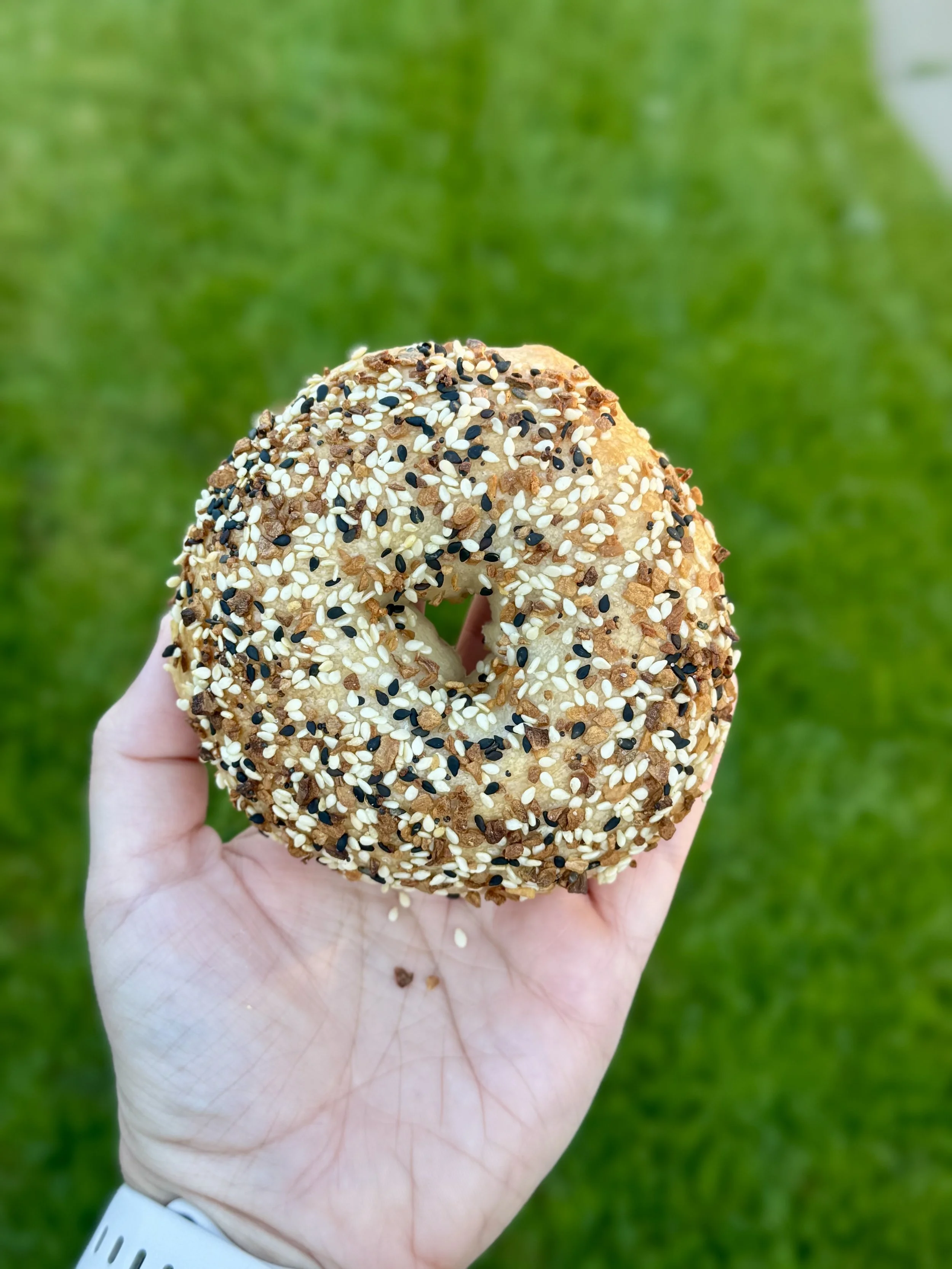 Everything Bagels