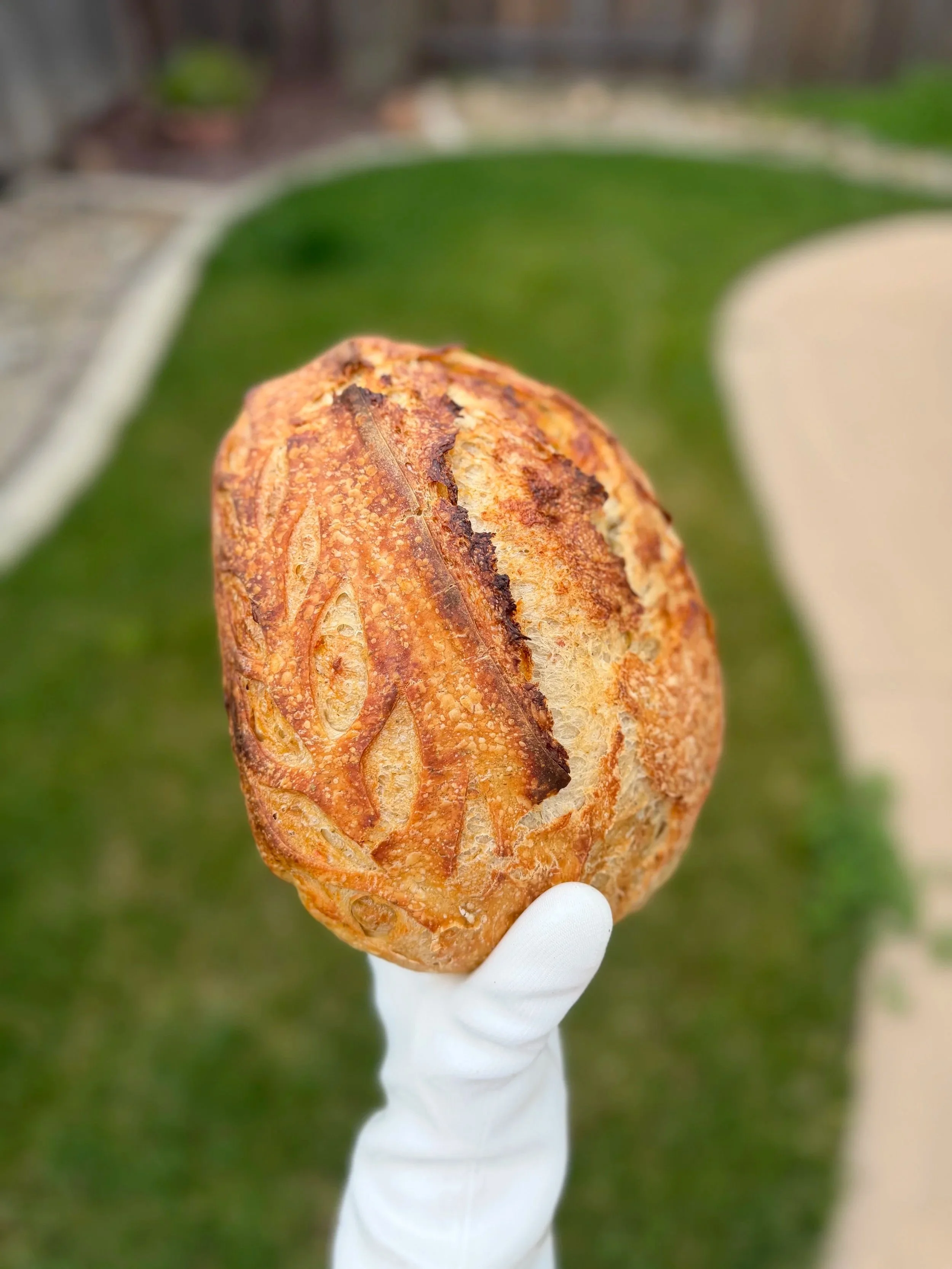 Cheddar & Dill Sourdough