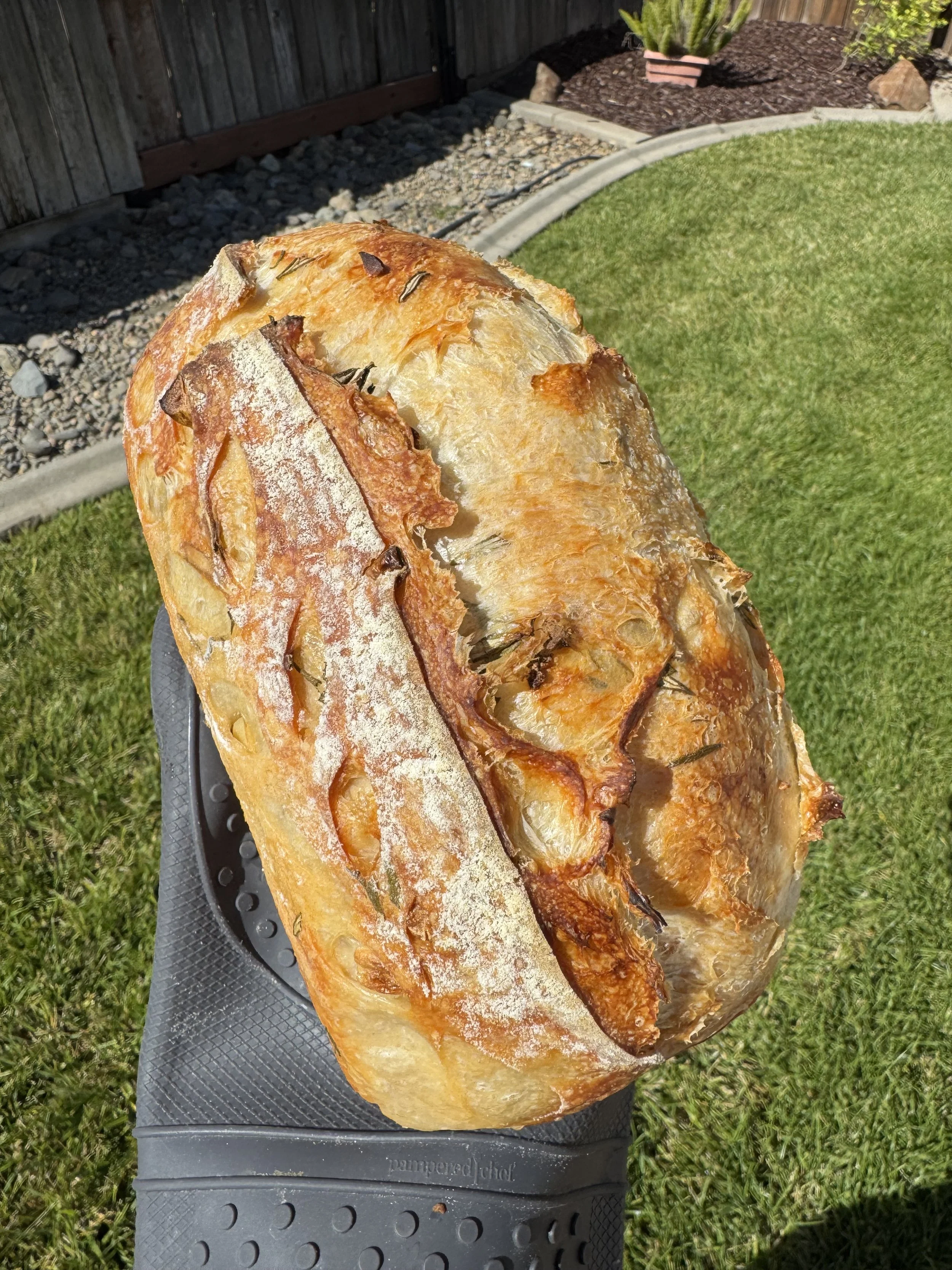Rosemary & Garlic Sourdough