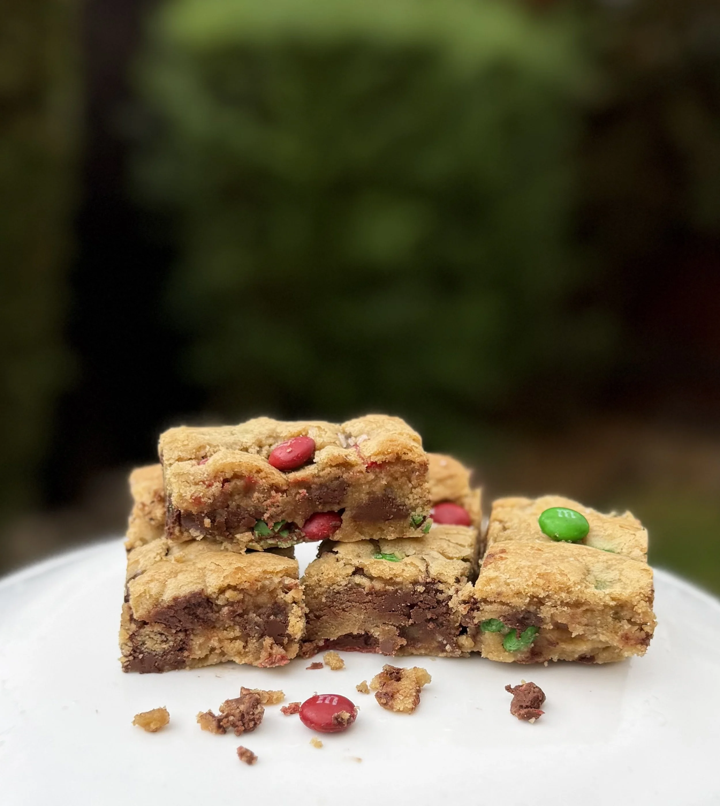 Chocolate Chip Blondies