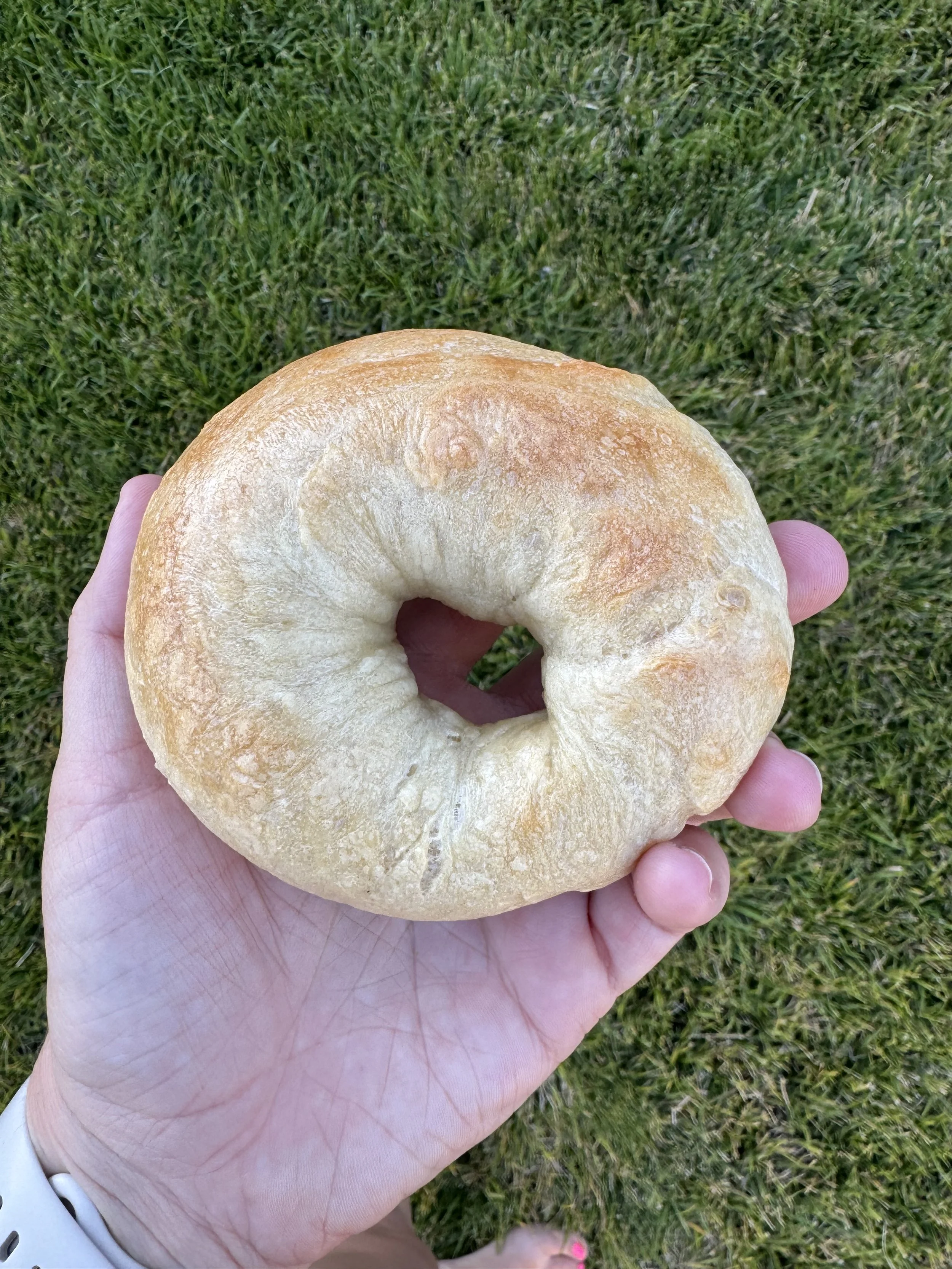 Bagels