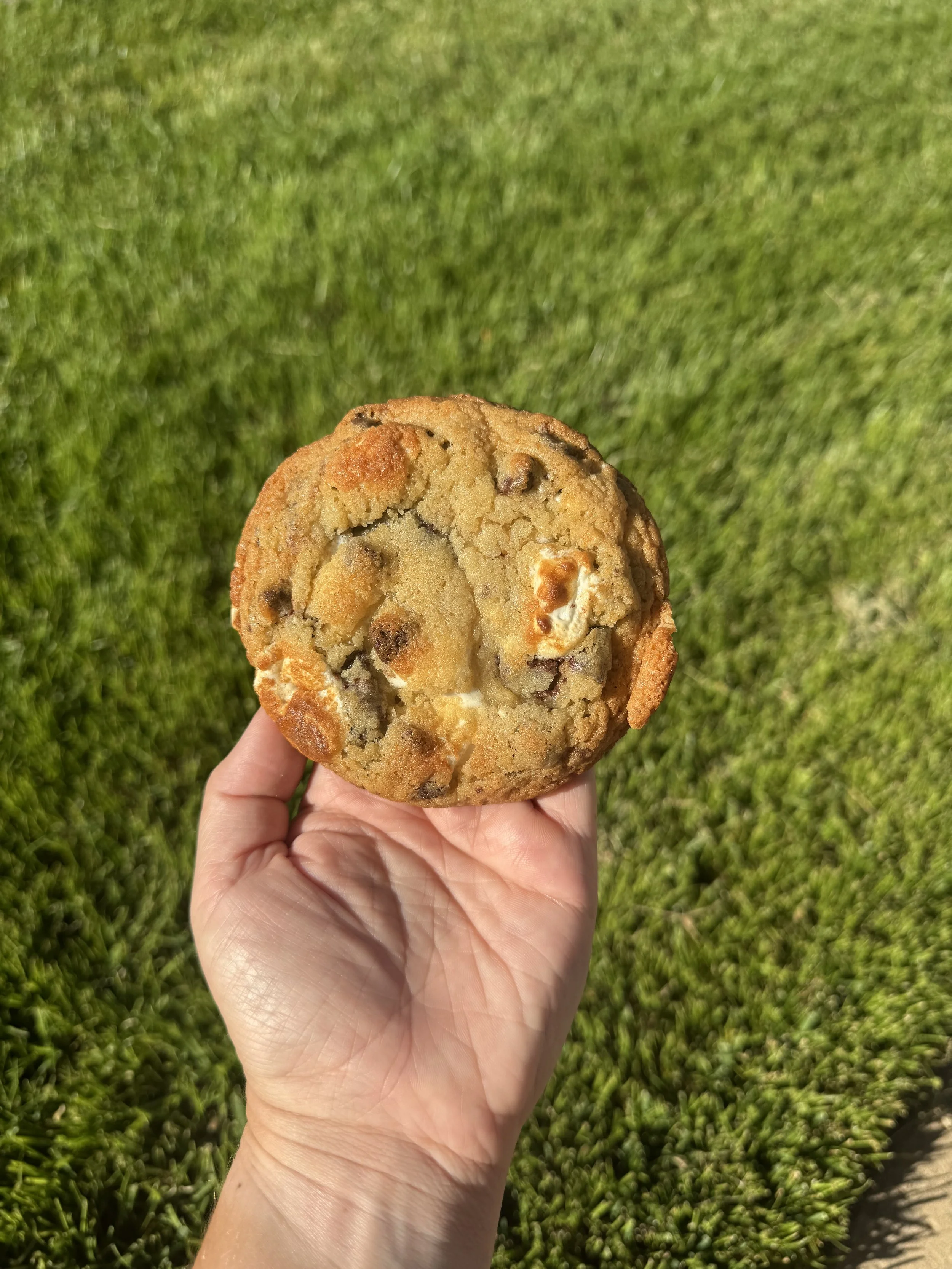 Close-up photo of a large chocolate chip cookie with marshmallows, held in a person's hand against a background of green grass.