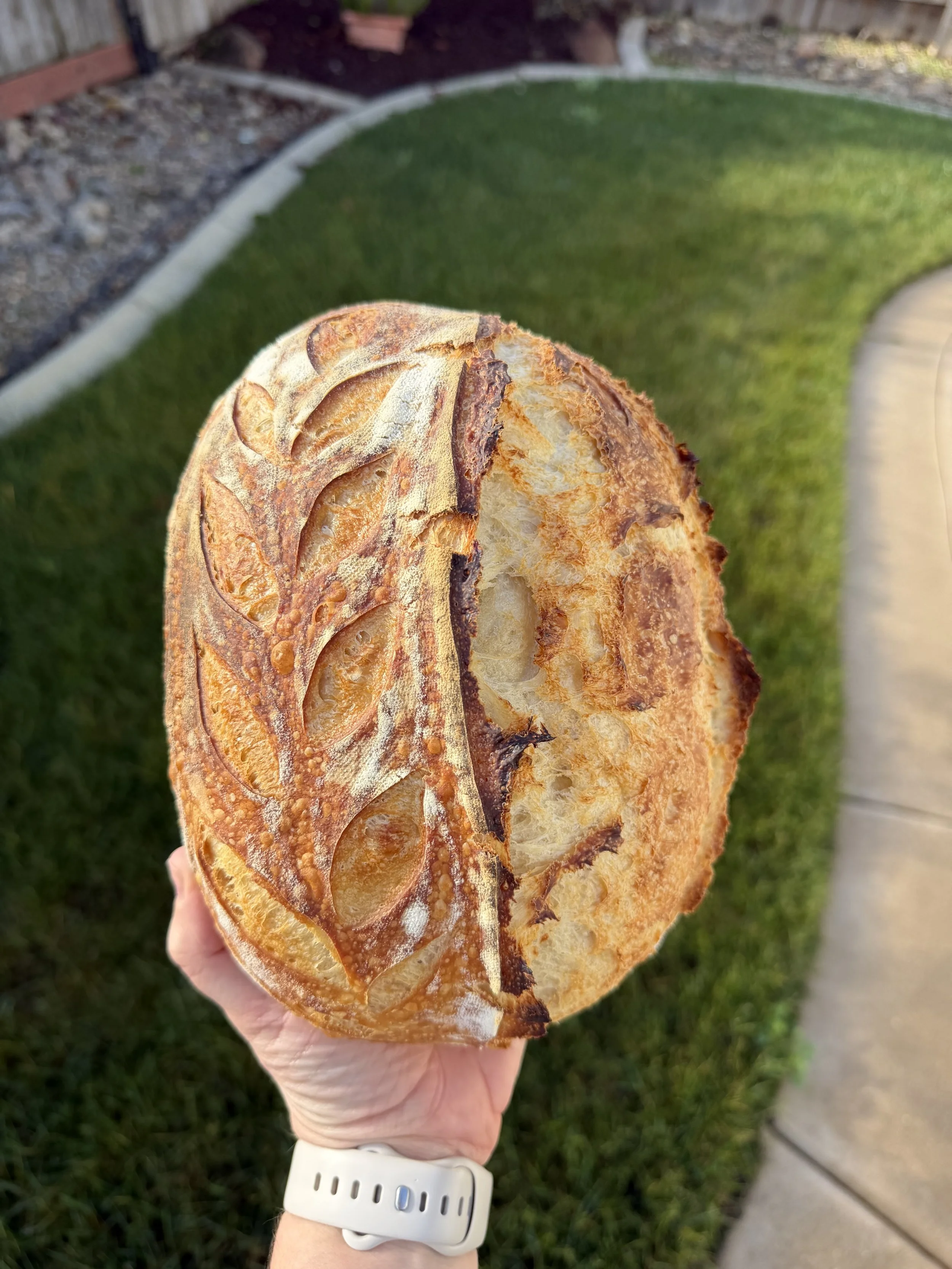 Original Artisan Sourdough