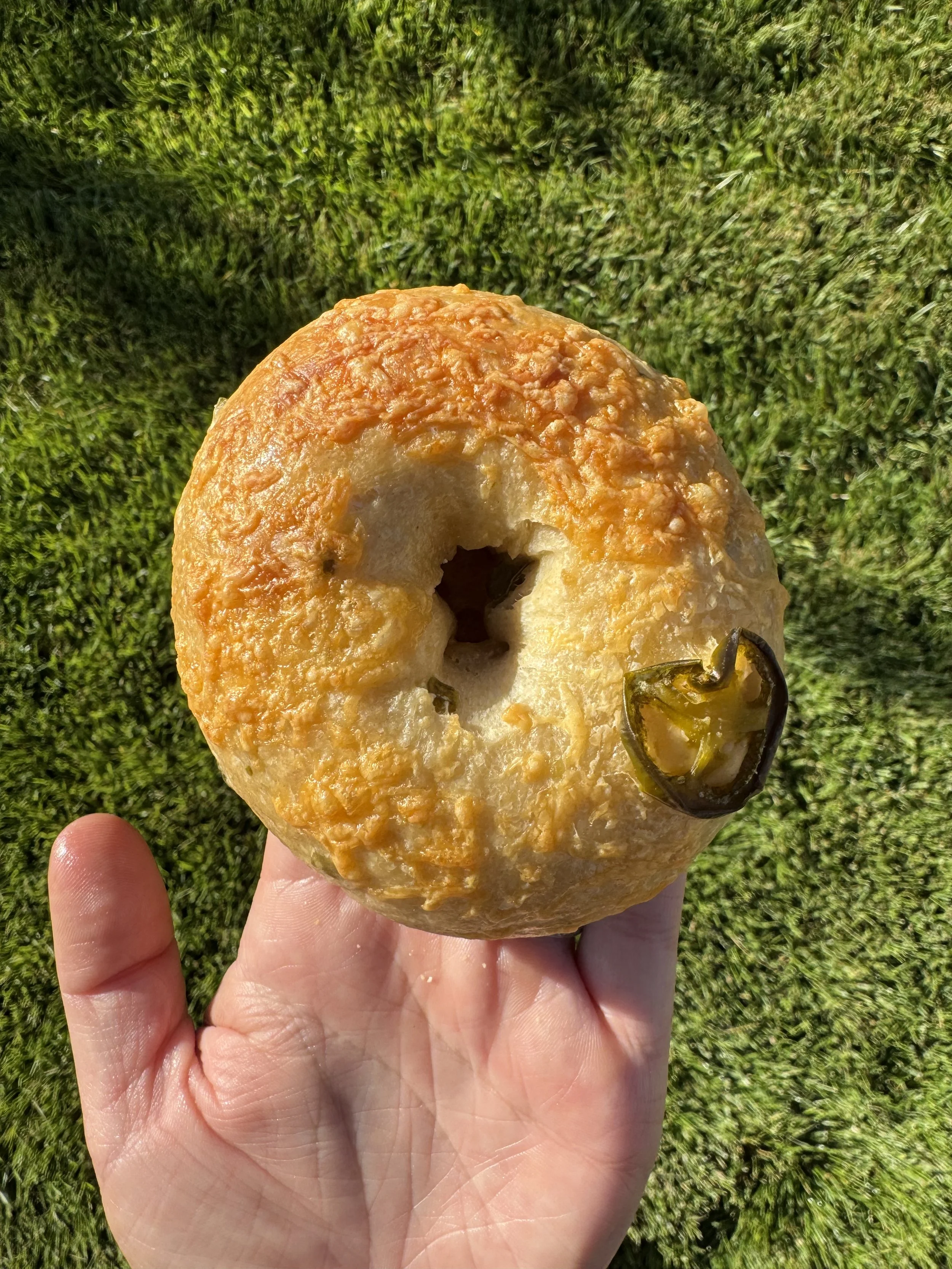 Jalapeno & Cheddar Bagels