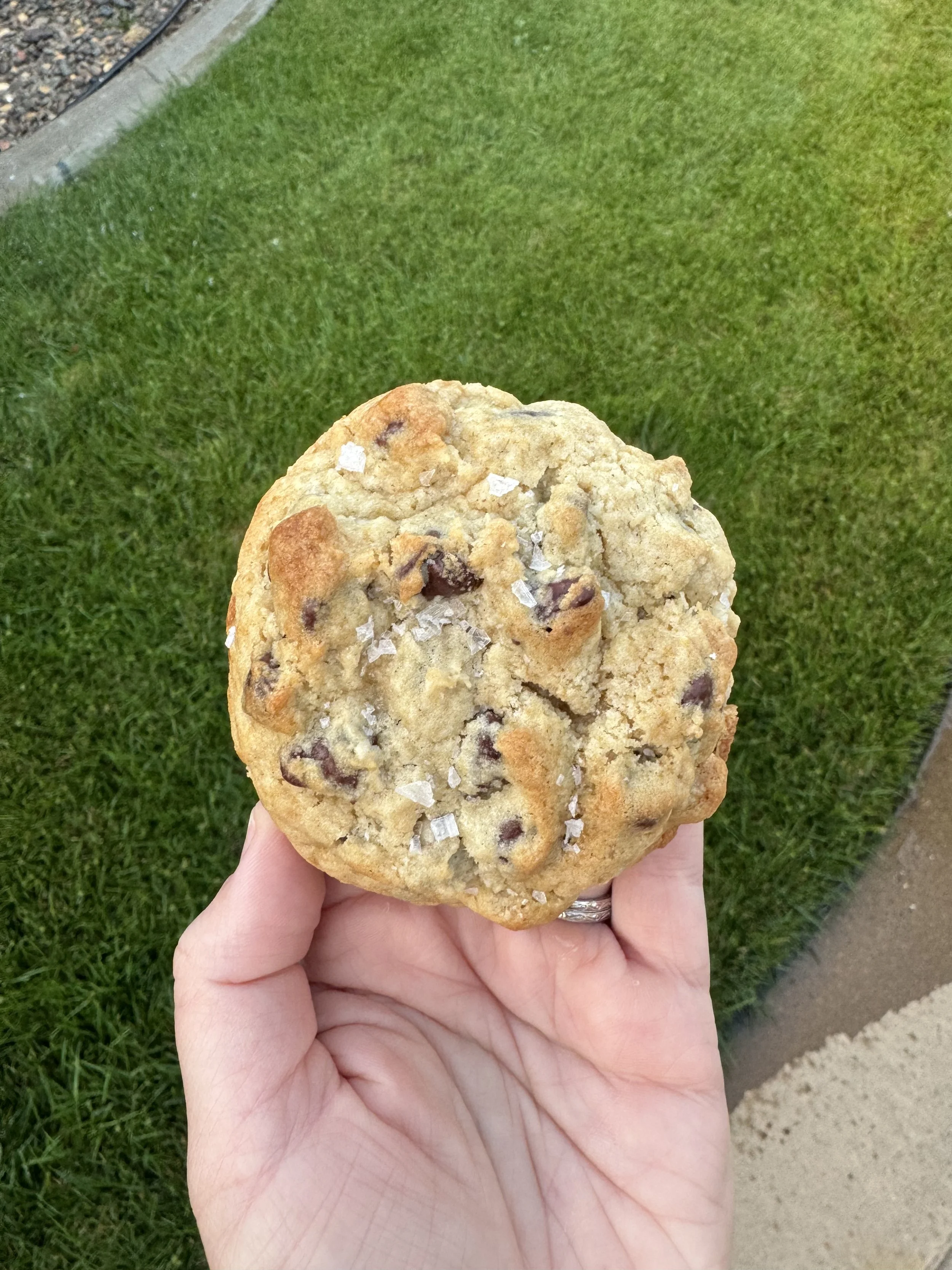 Gluten Free - Salted Chocolate Chip (Half Dozen)