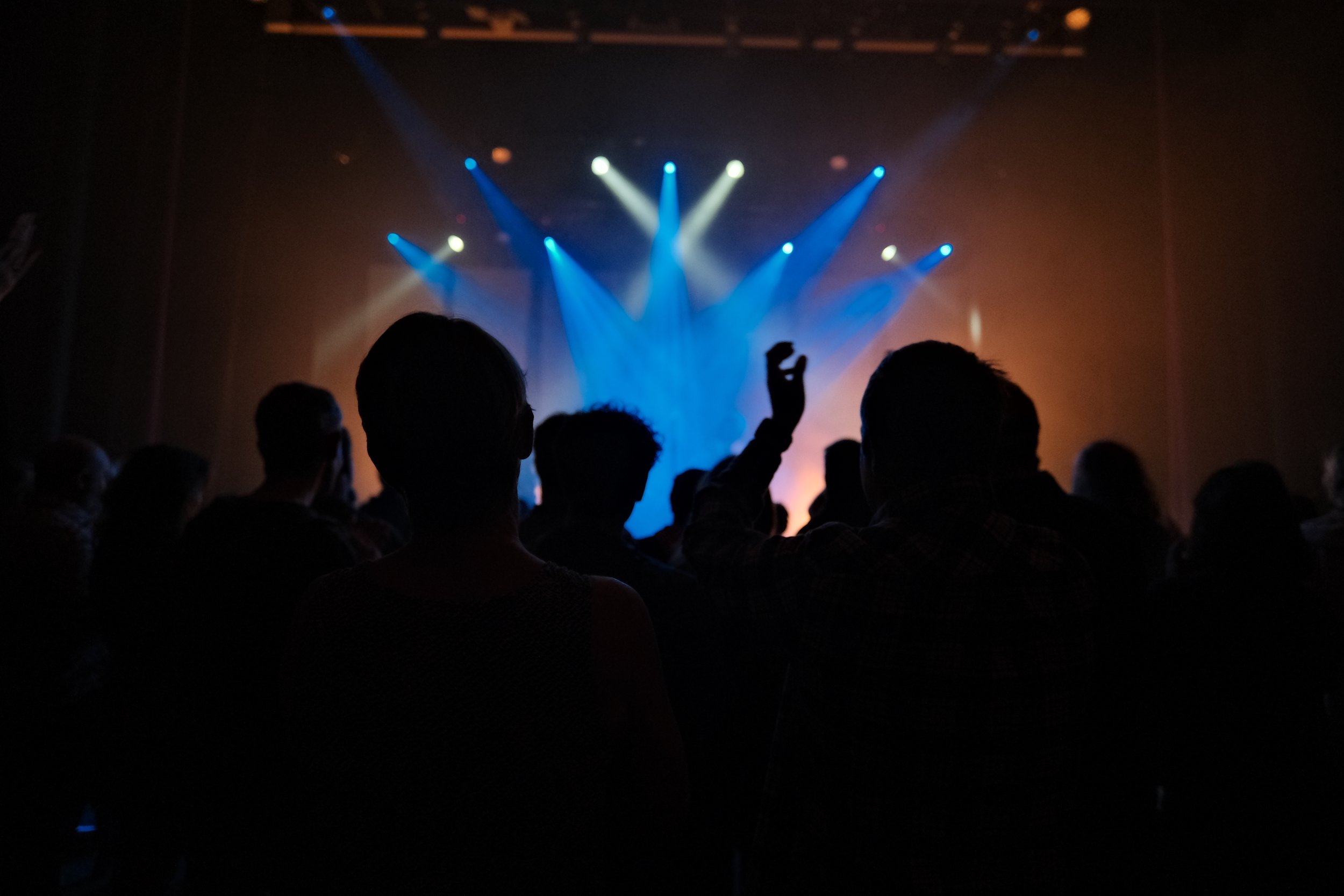 Silhouettes of people at a concert or performance with colorful stage lighting.