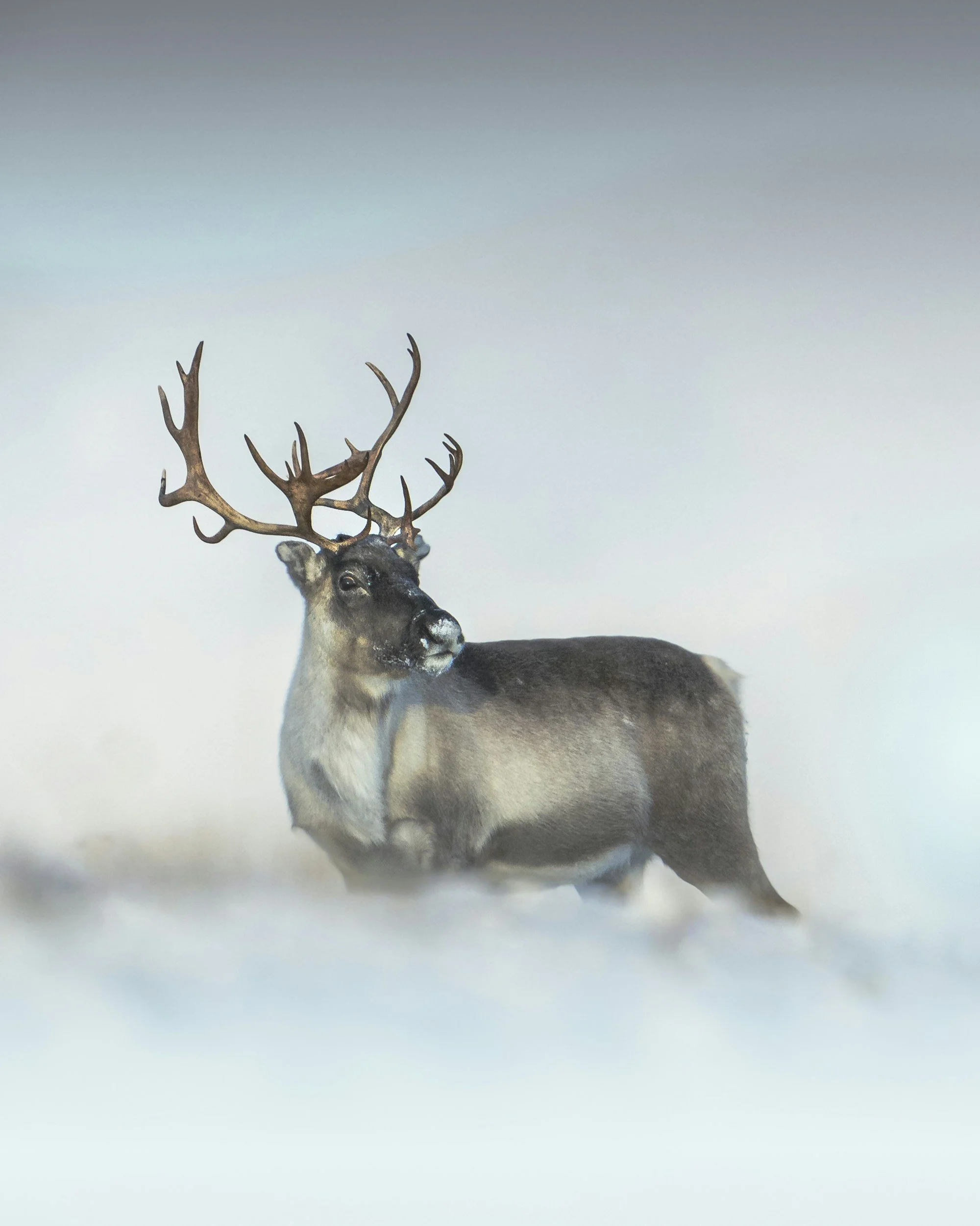 How do you measure nature-positive?