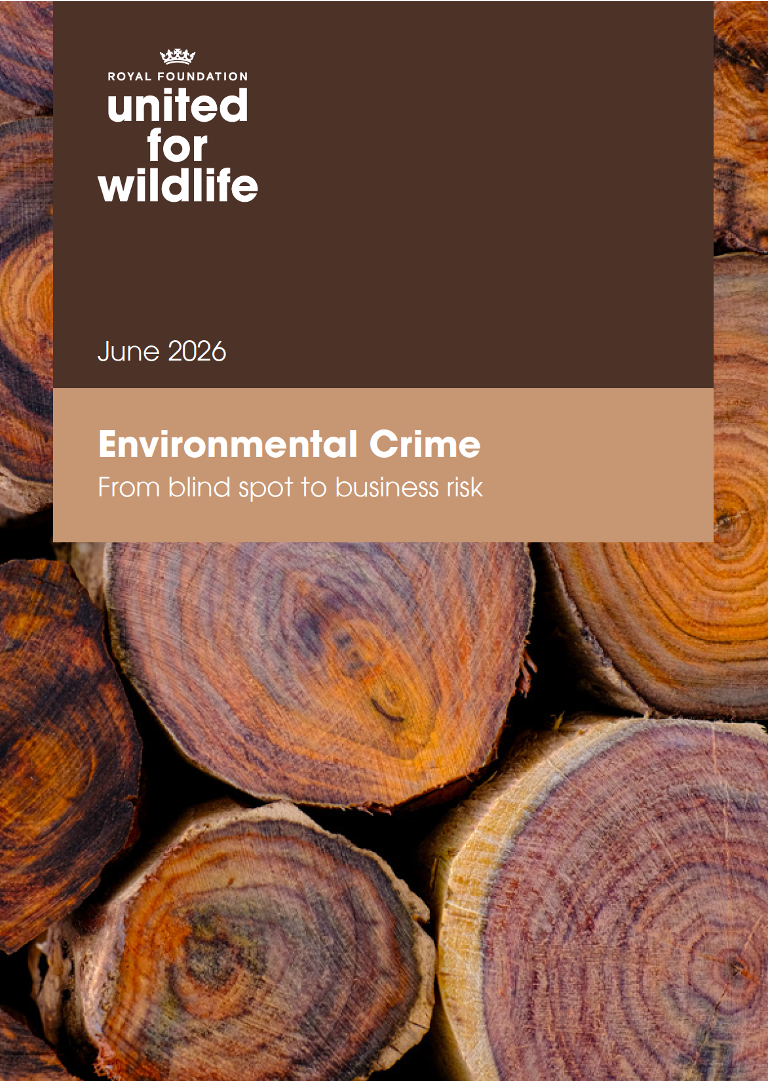 Environmental crime: From blind spot to business risk