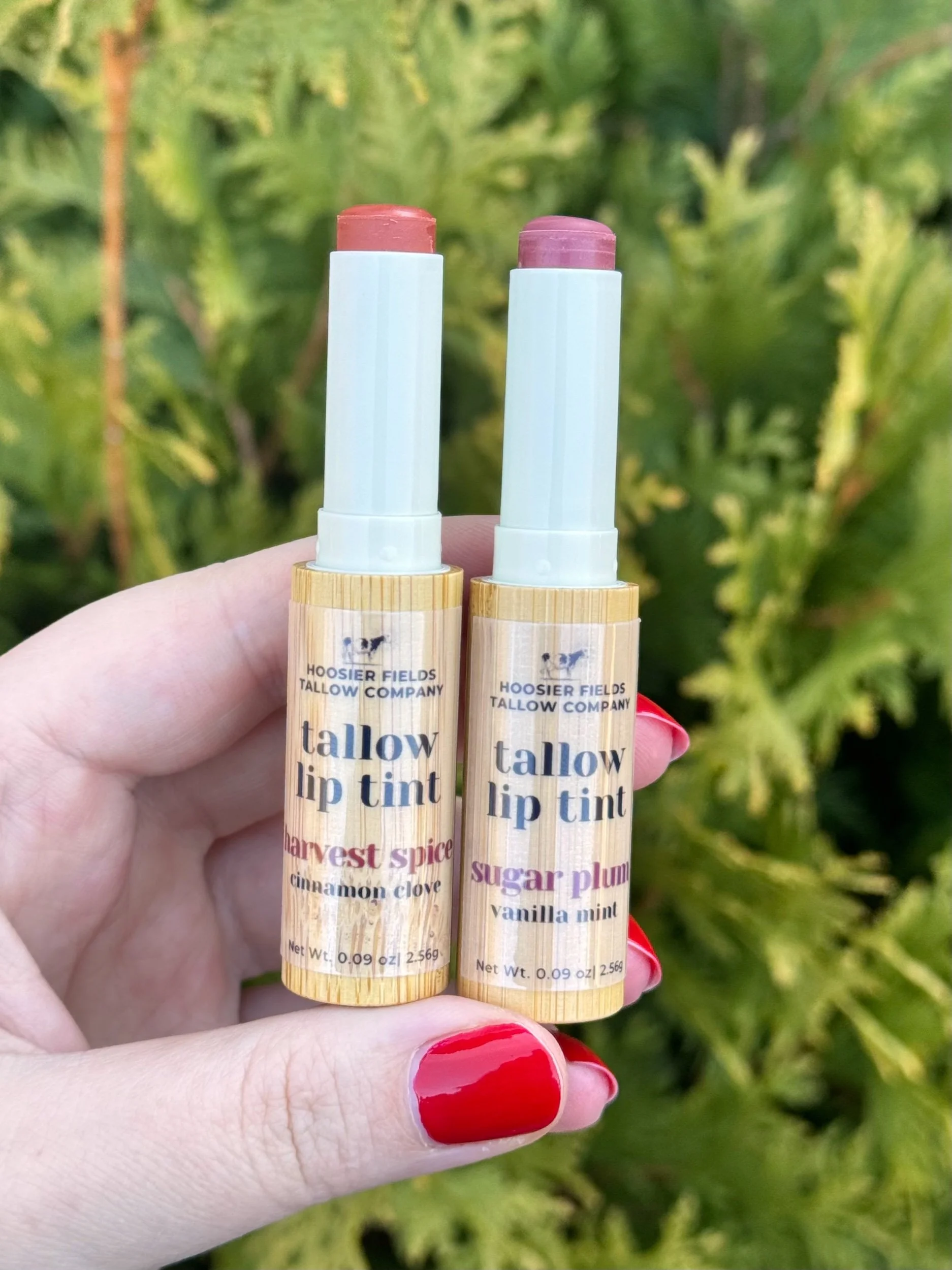 Tallow Lip Tint