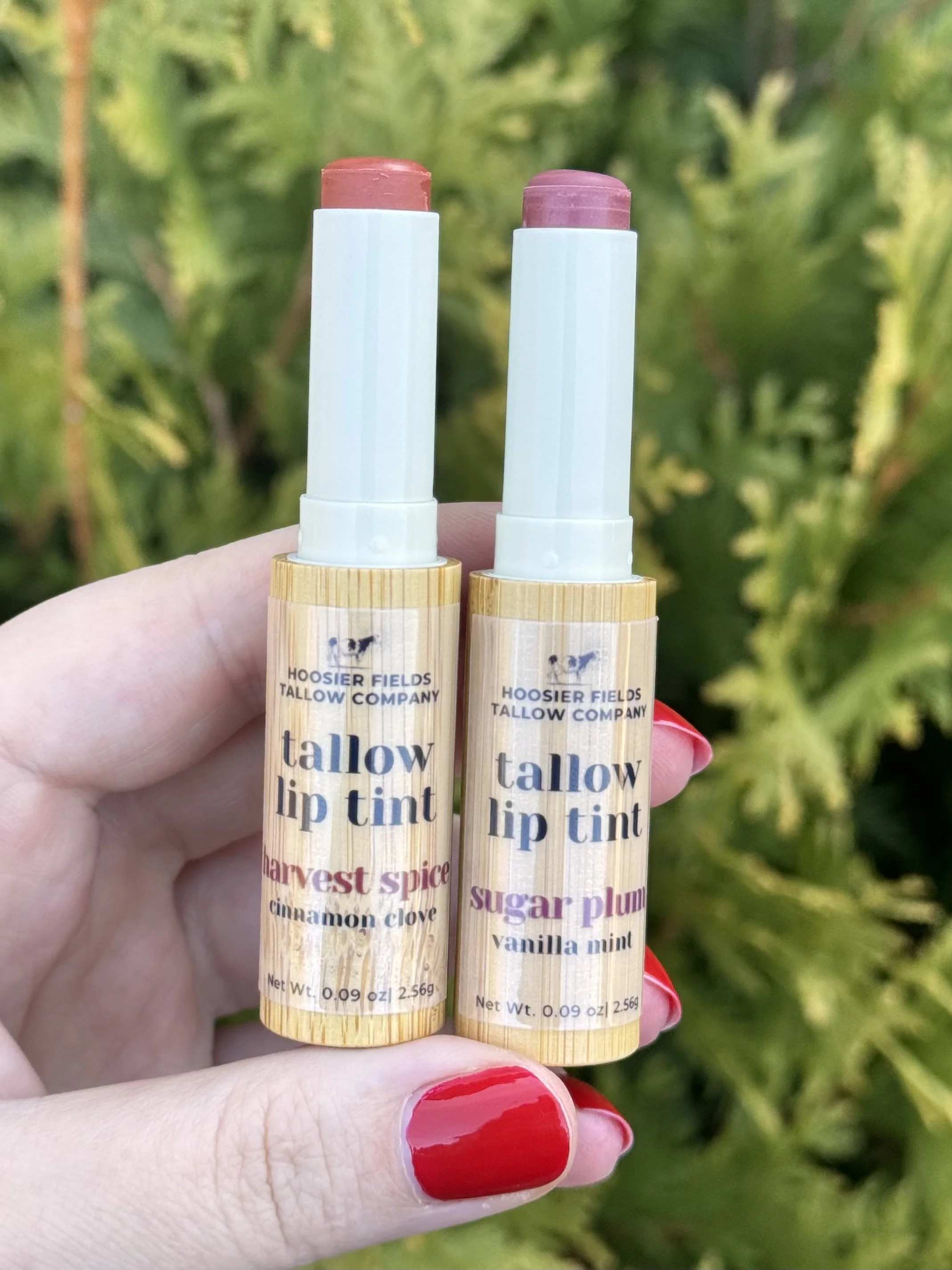 Tallow Lip Tint