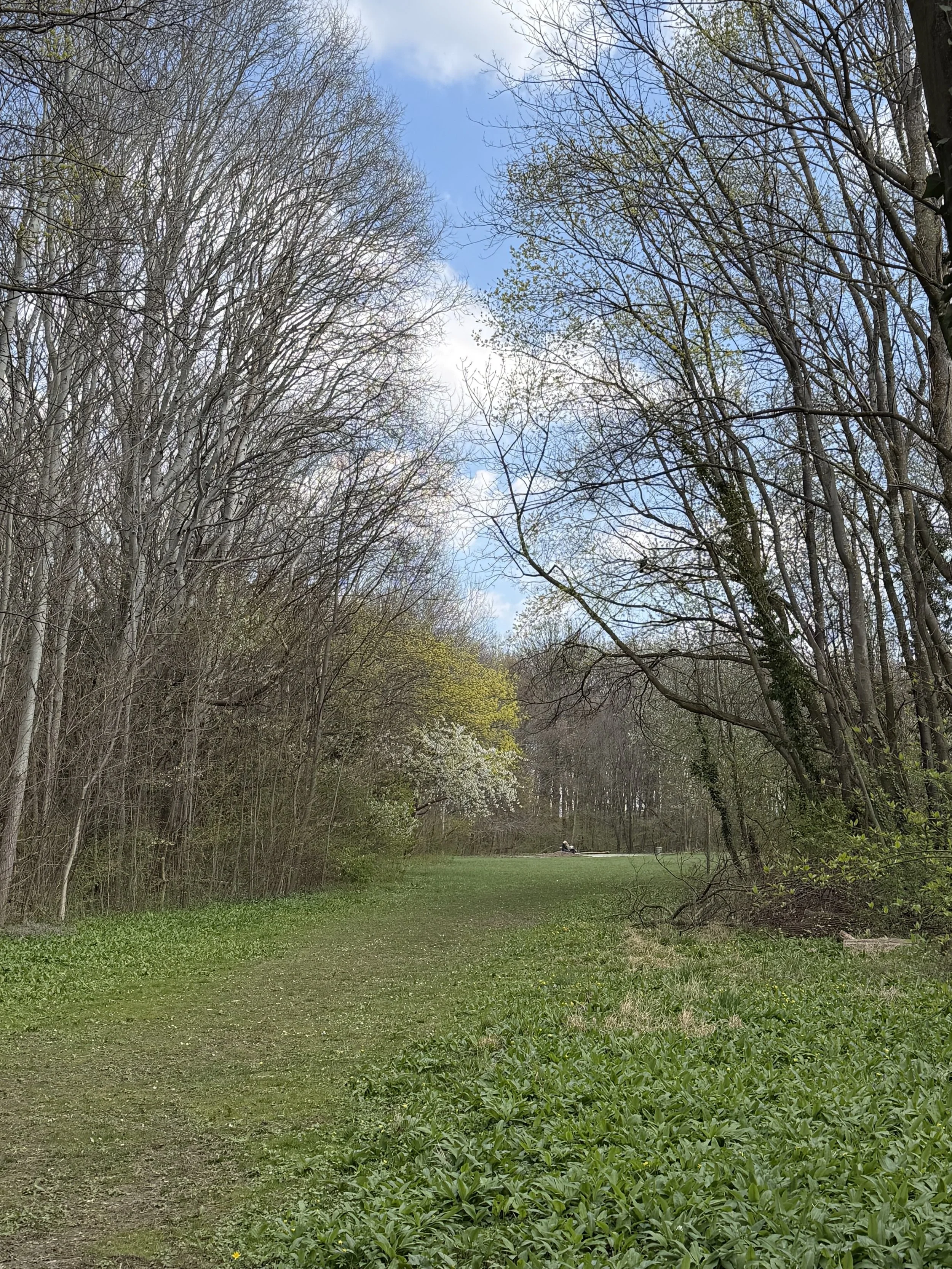 Park