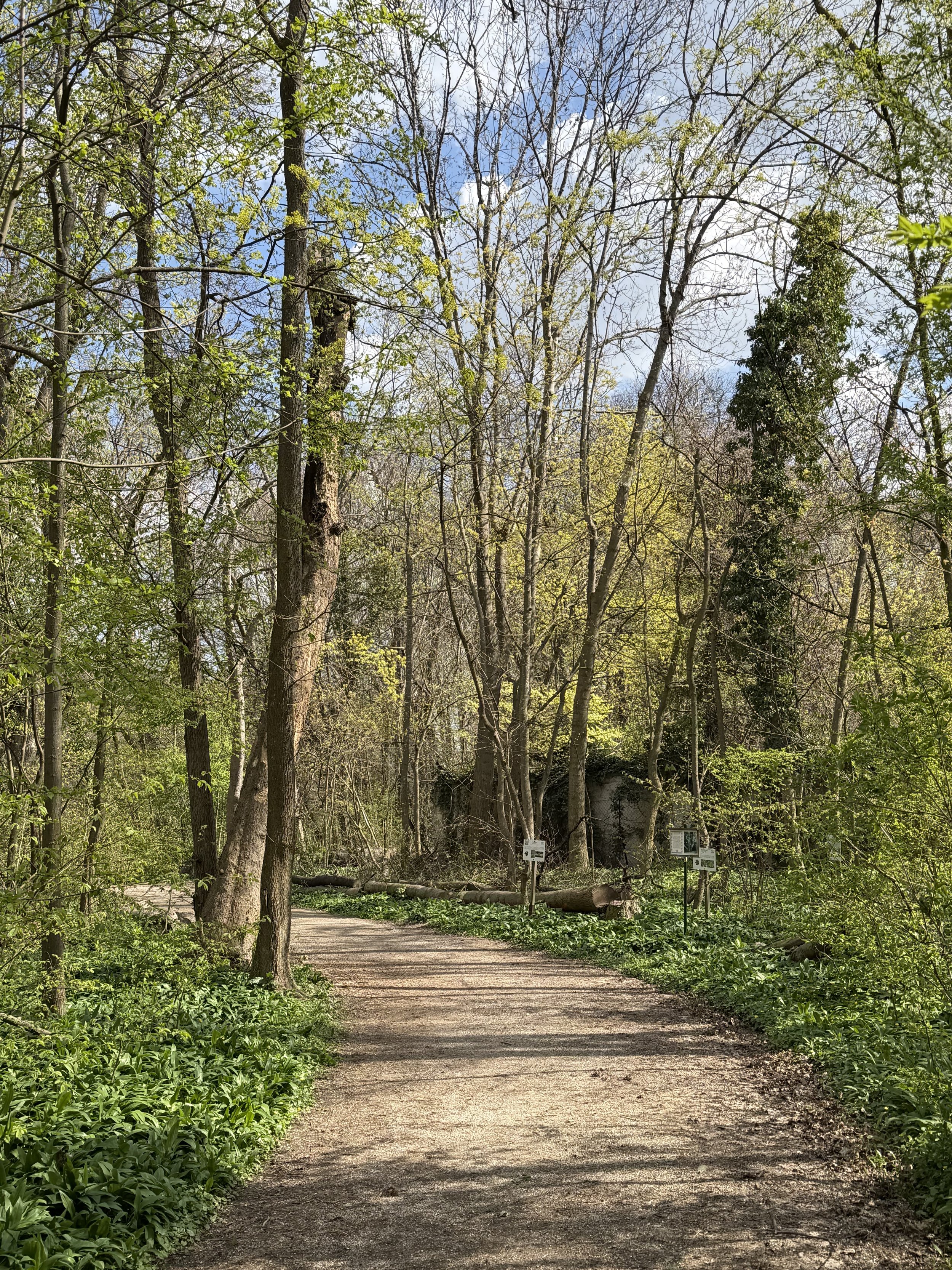 Verwandle Vorhaben in Taten