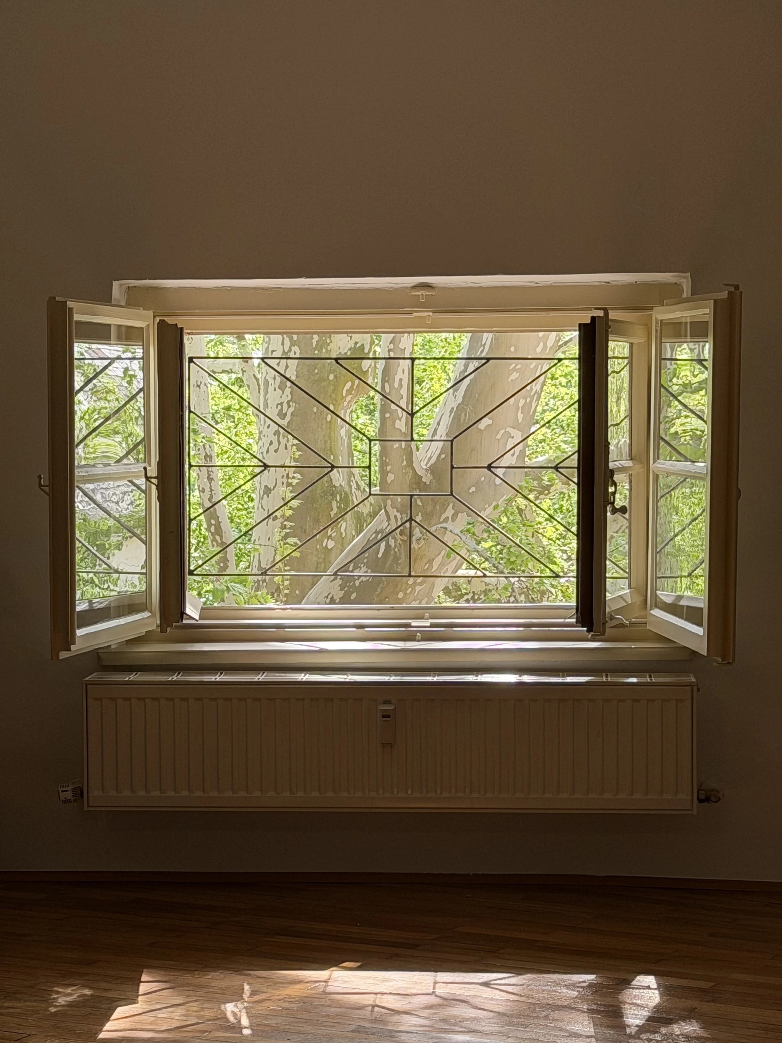 Fenster