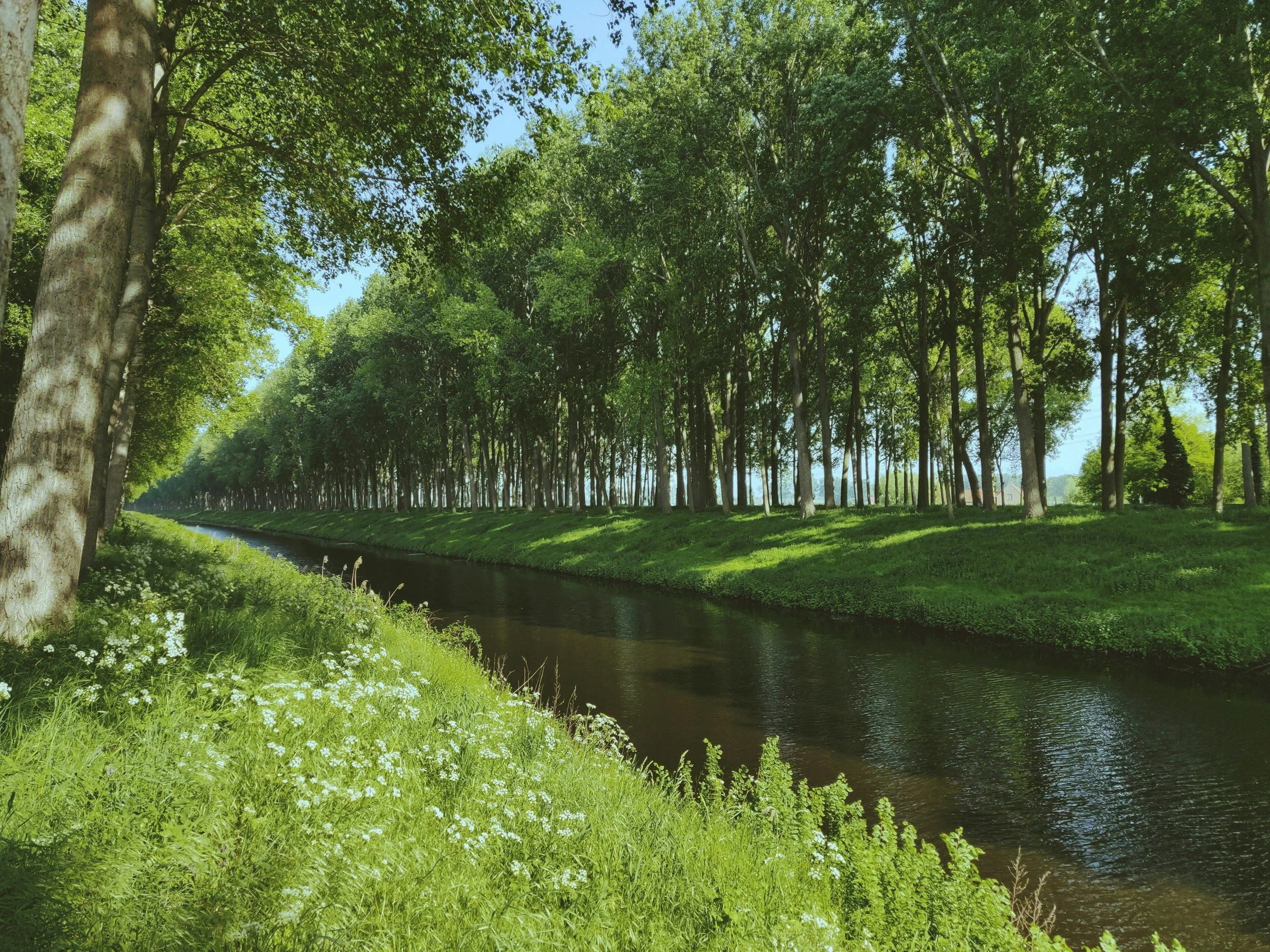 Start of the Third Month