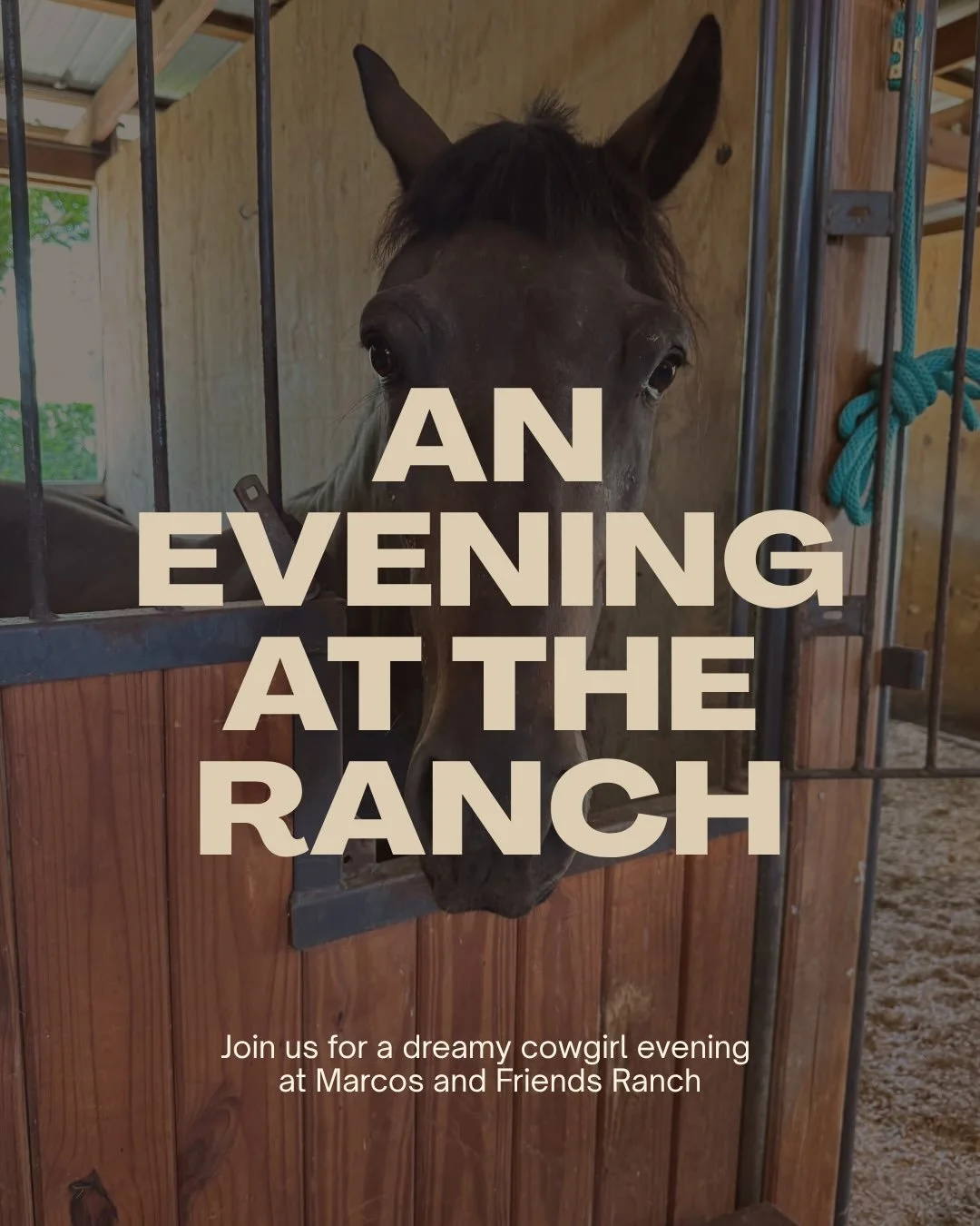 Join us for a dreamy evening @marcosandfriendsranch for a Pilates flow and a yummy @ballerinafarmstore drink! Grab your ticket now, limited availability ! 

🐴 Let&rsquo;s go cowgirls!

🤎 Link in bio to schedule 
Clubequilibrio.com
