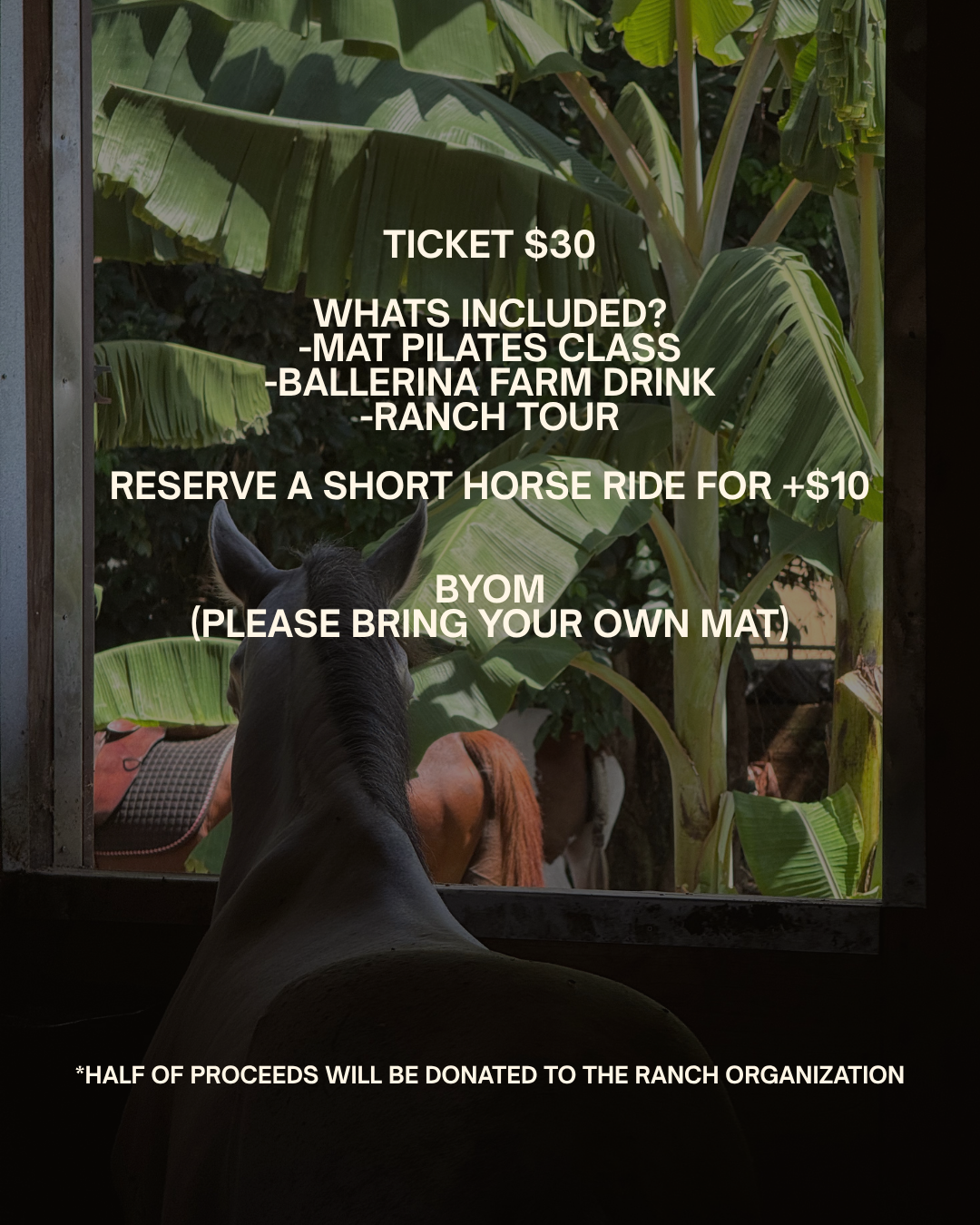 An evening at the ranch - 5.png
