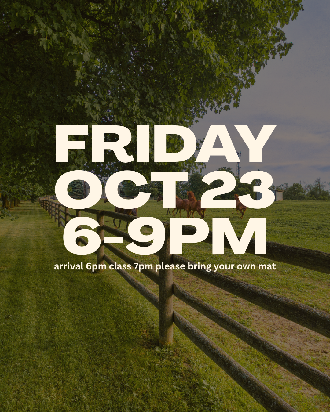 An evening at the ranch - 3.png