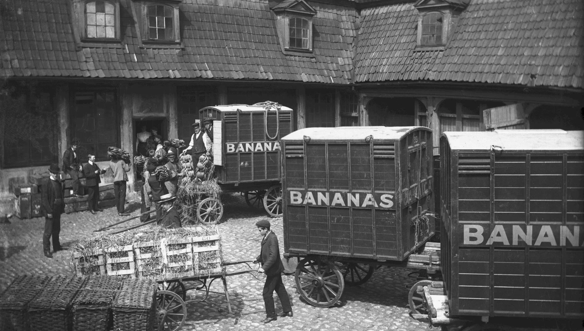  ➞  BAMA  SoMe —  Filmer om BANANEN