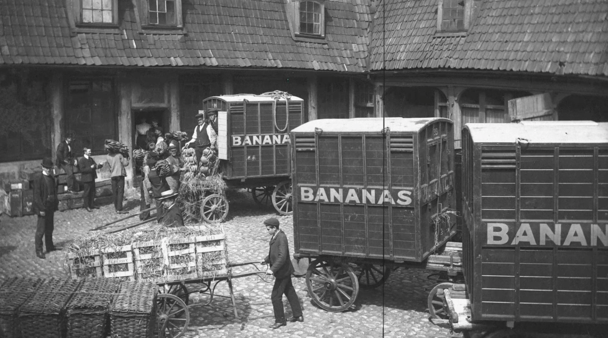  ➞  BAMA  SoMe-filmer om BANANEN :)