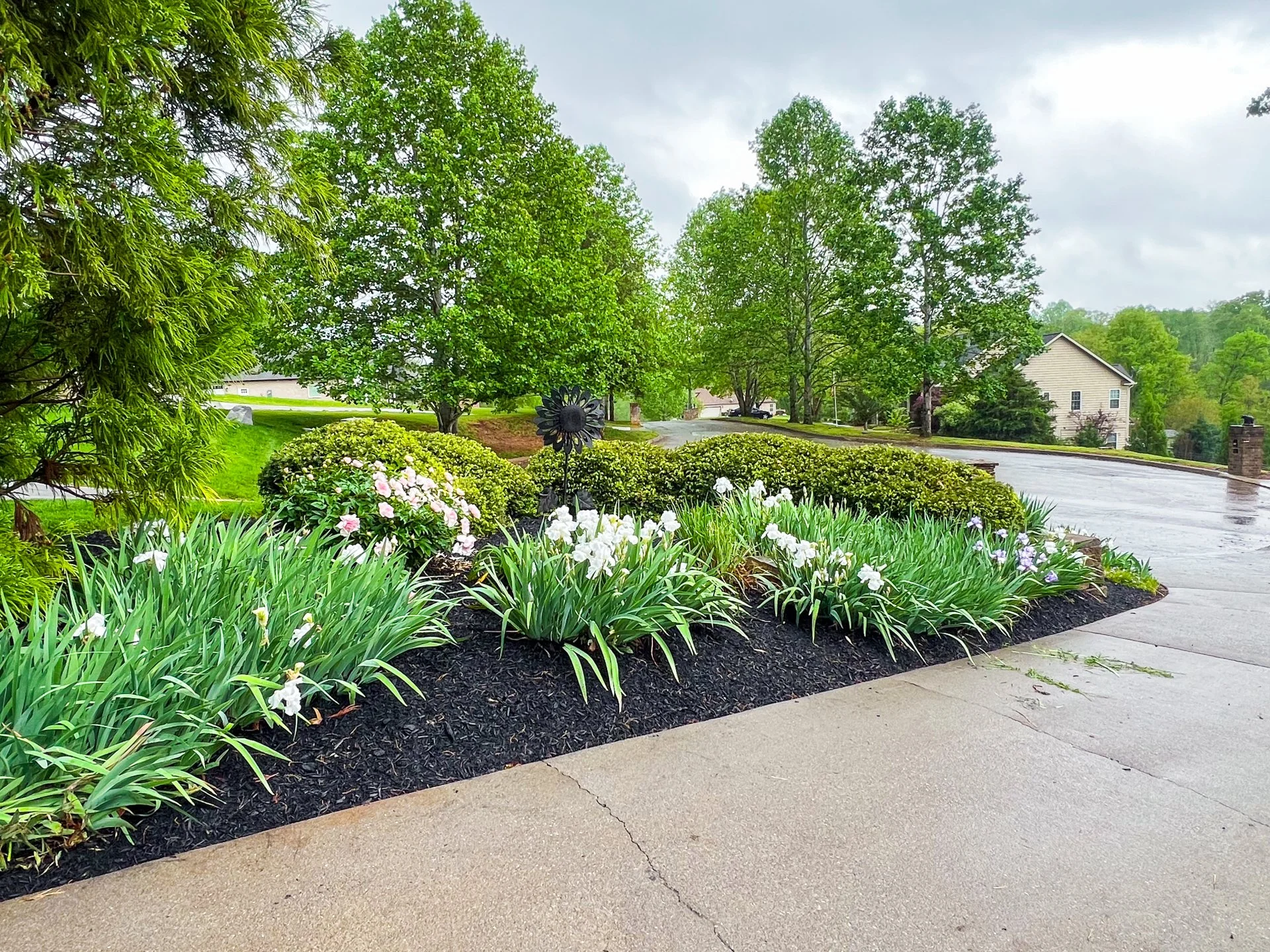 JJP-Landscaping_03-26_Existing-Photos_EDITED_-30.jpg