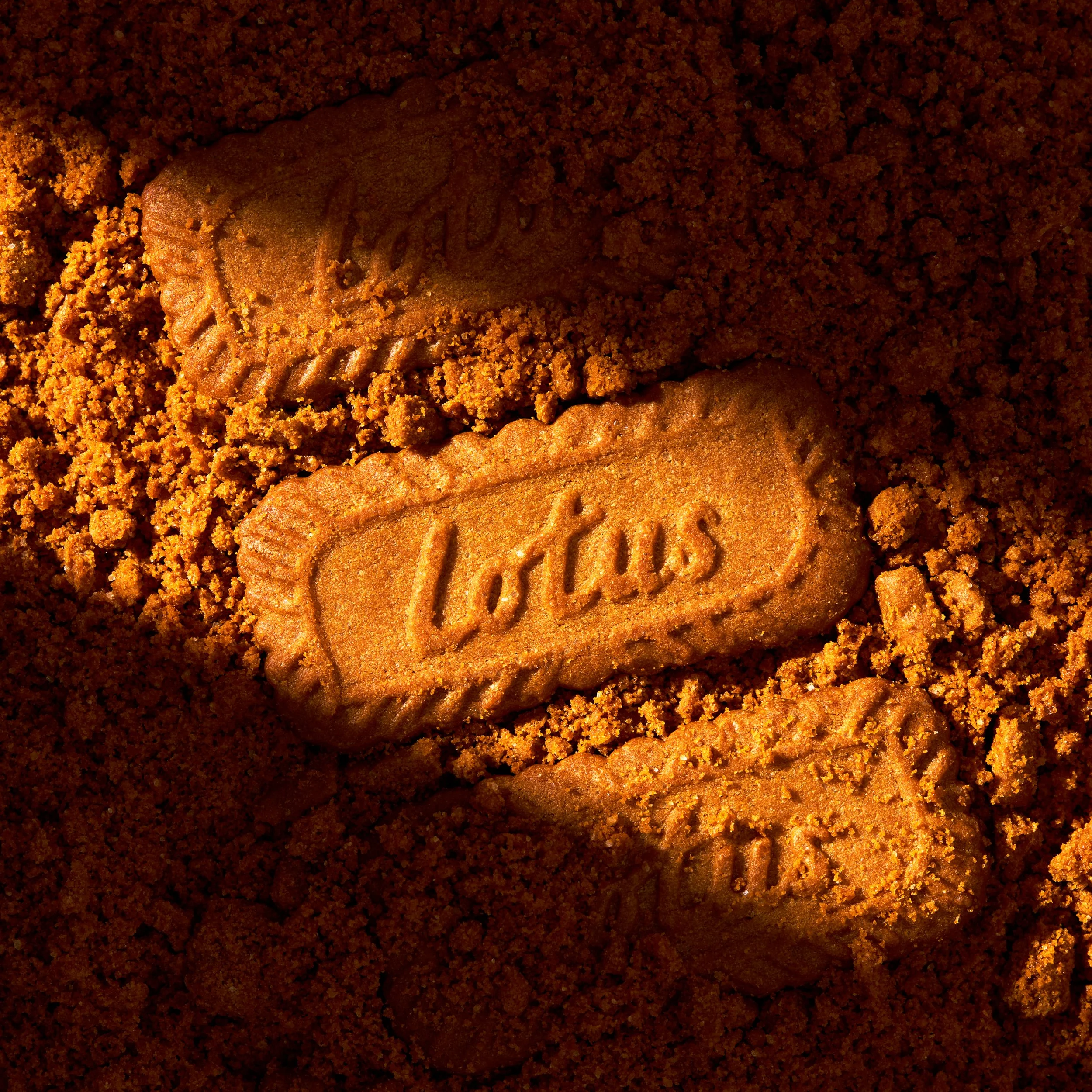 Biscuits lotus ambiance Indiana Jones.