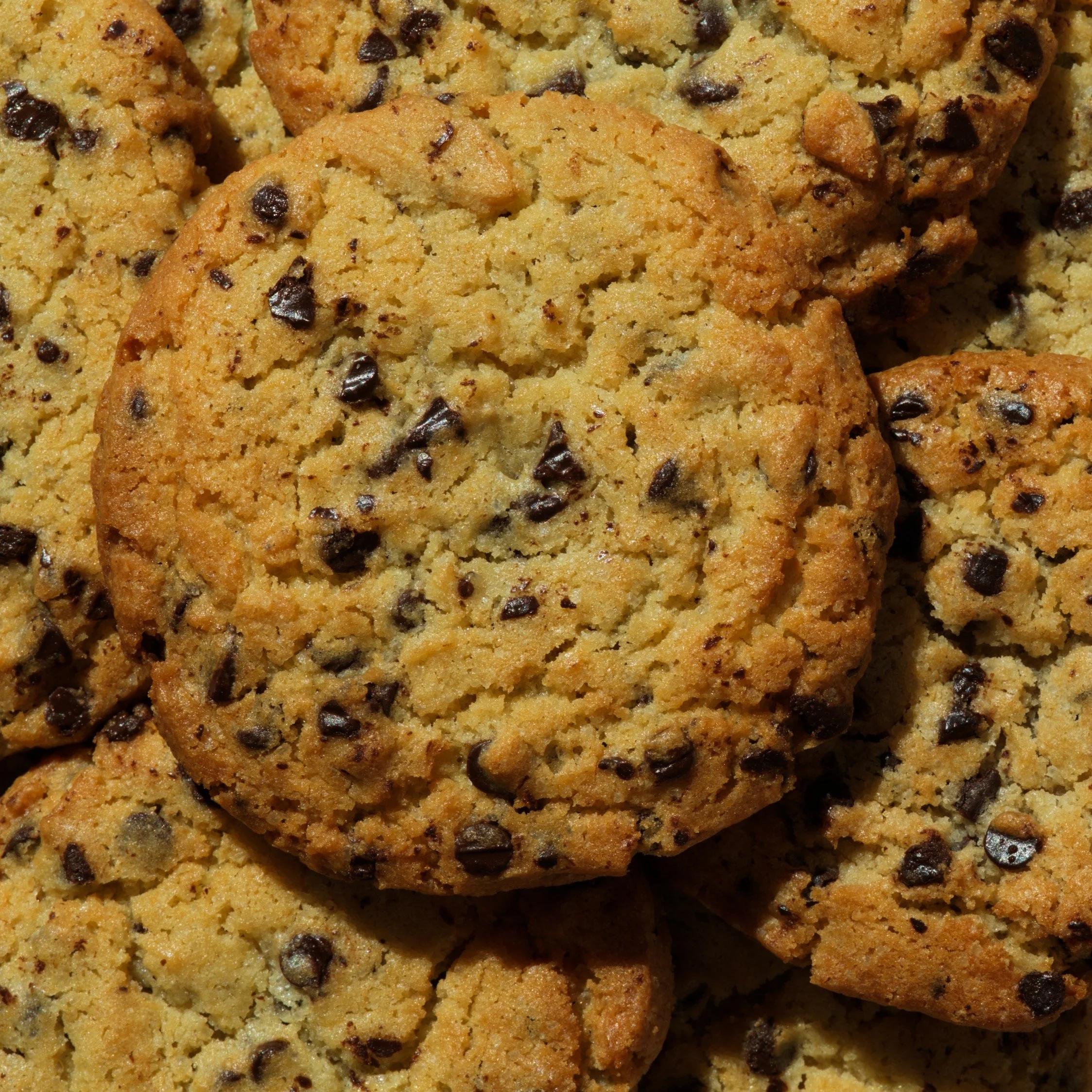cookies petites de chocolat, plan sérré
