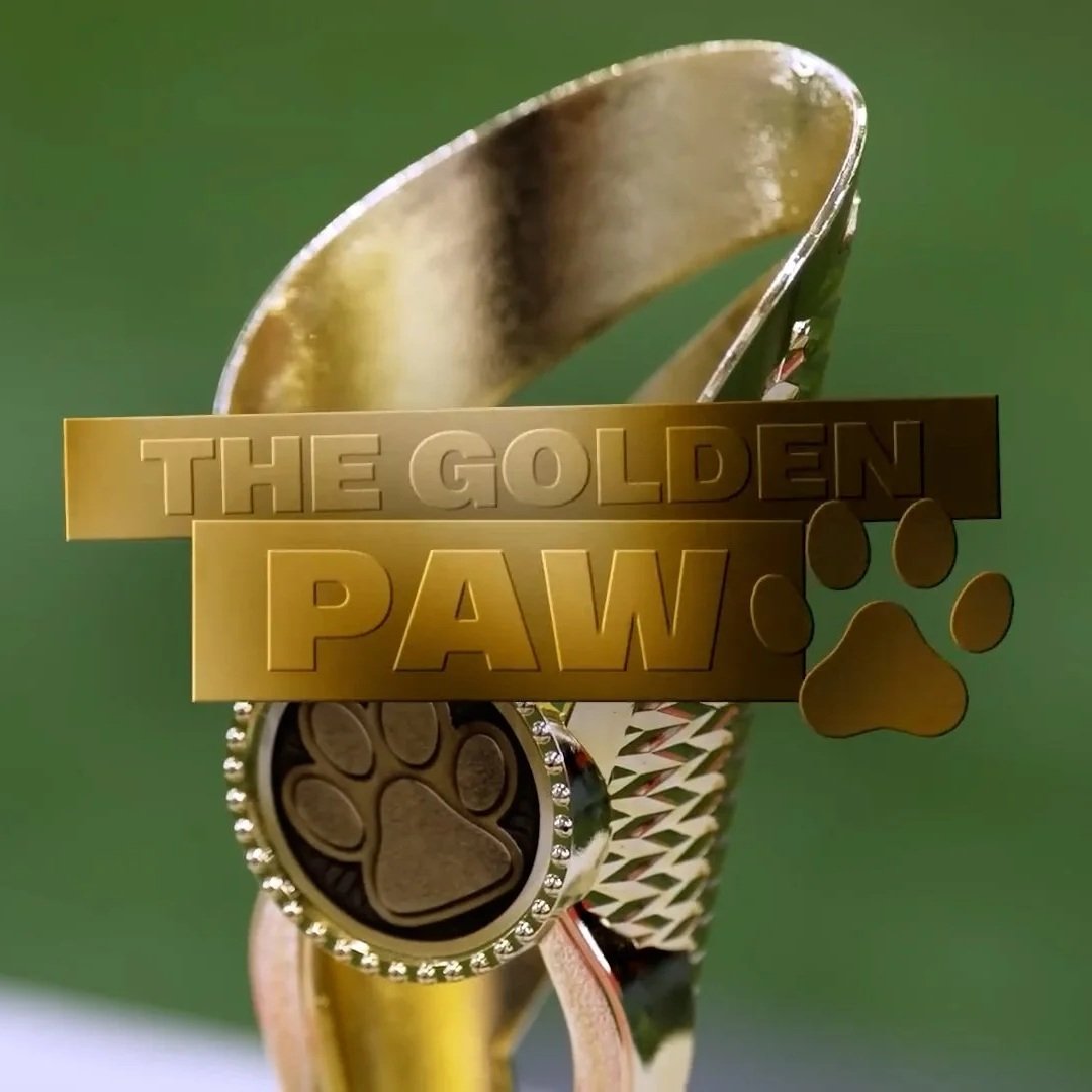 Man+United+Dogs+vs+Agility+Course%21+%F0%9F%90%B6+_+Le+Tissier%2C+Turner+%26+George+_+The+Golden+Paw+_+Barclays+WSL_1080p.00_00_29_17.Still001.jpg