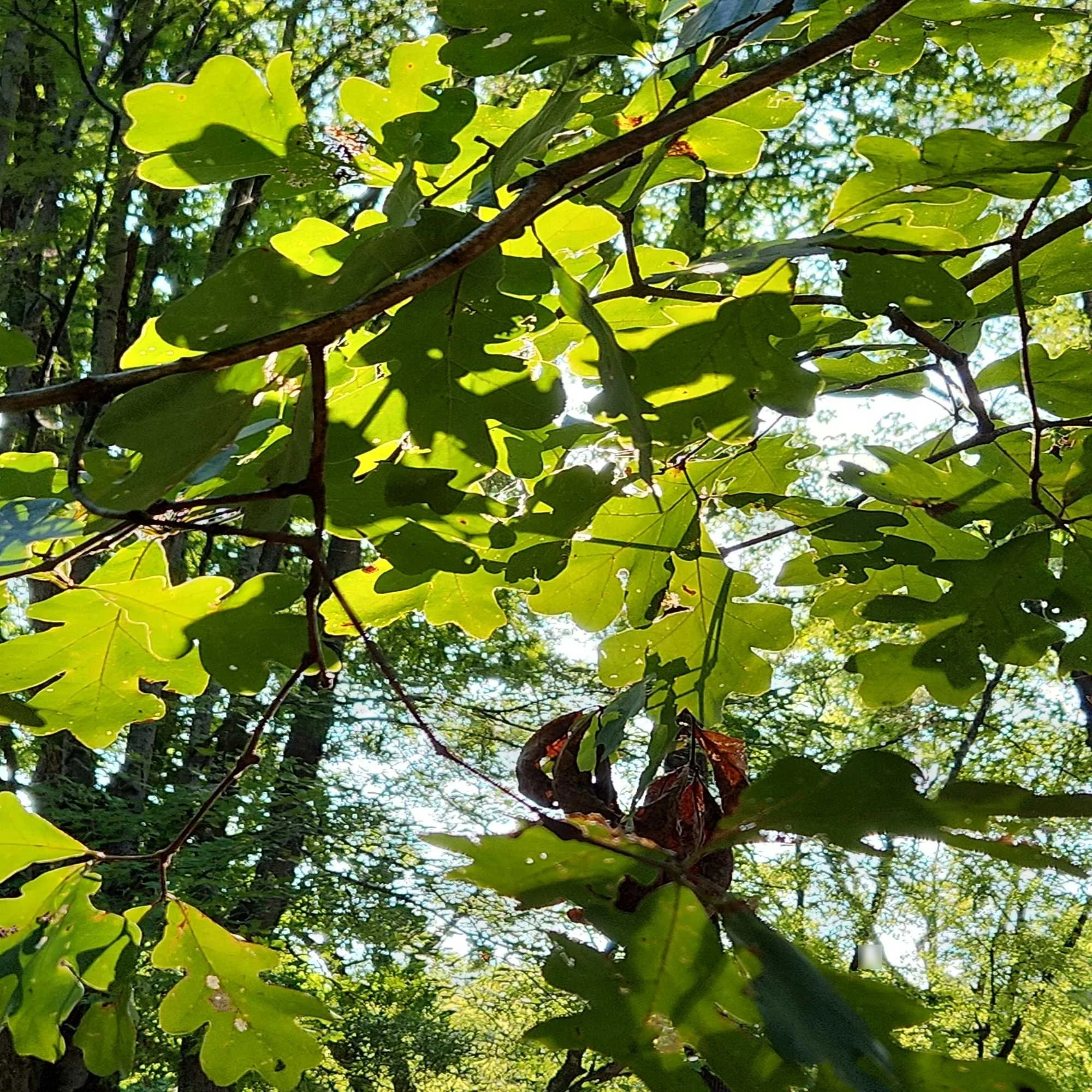 896598d0-1e47-41f5-9a86-03dcdd8068a2.jpeg