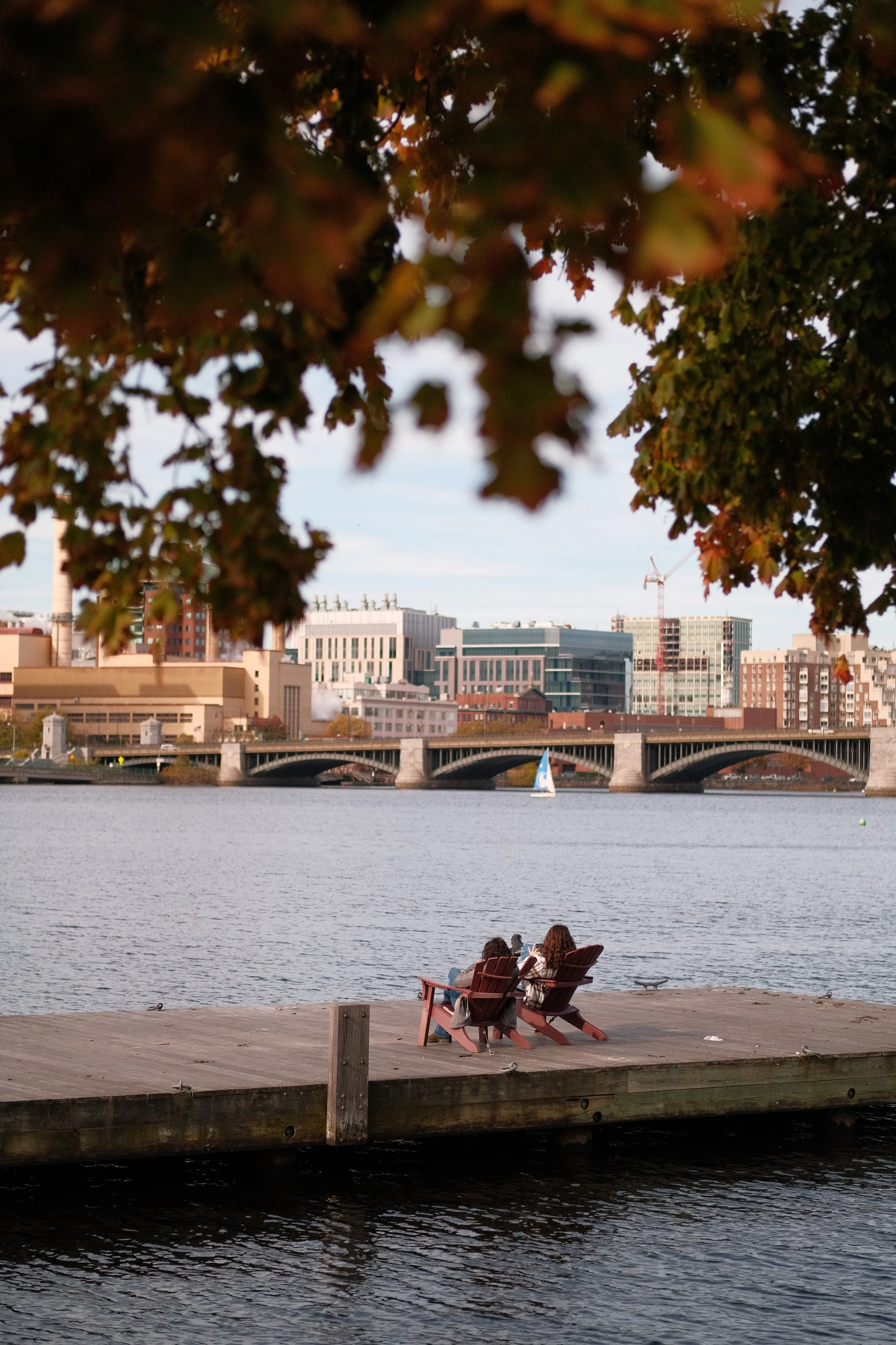 Two people sitting on chairs by a waterfront, overlooking a city skyline with buildings and a bridge, under the branches of a tree with autumn-colored leaves.