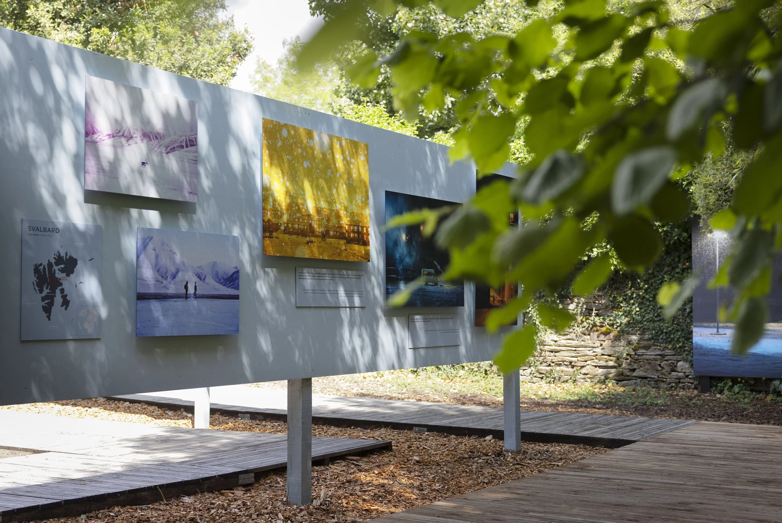 _Y5A4222-2 copie.jpg