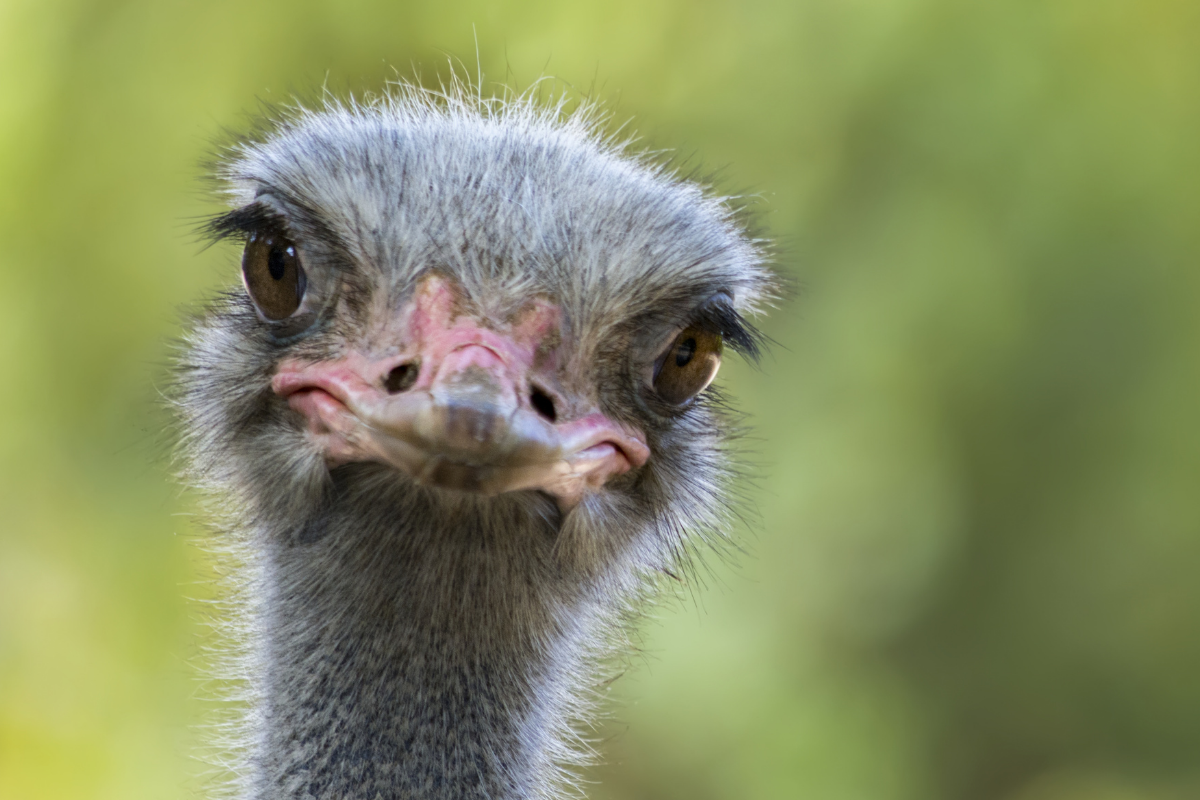 Why Your Start-Up Needs Expert Marketing Support (And How to Get It)