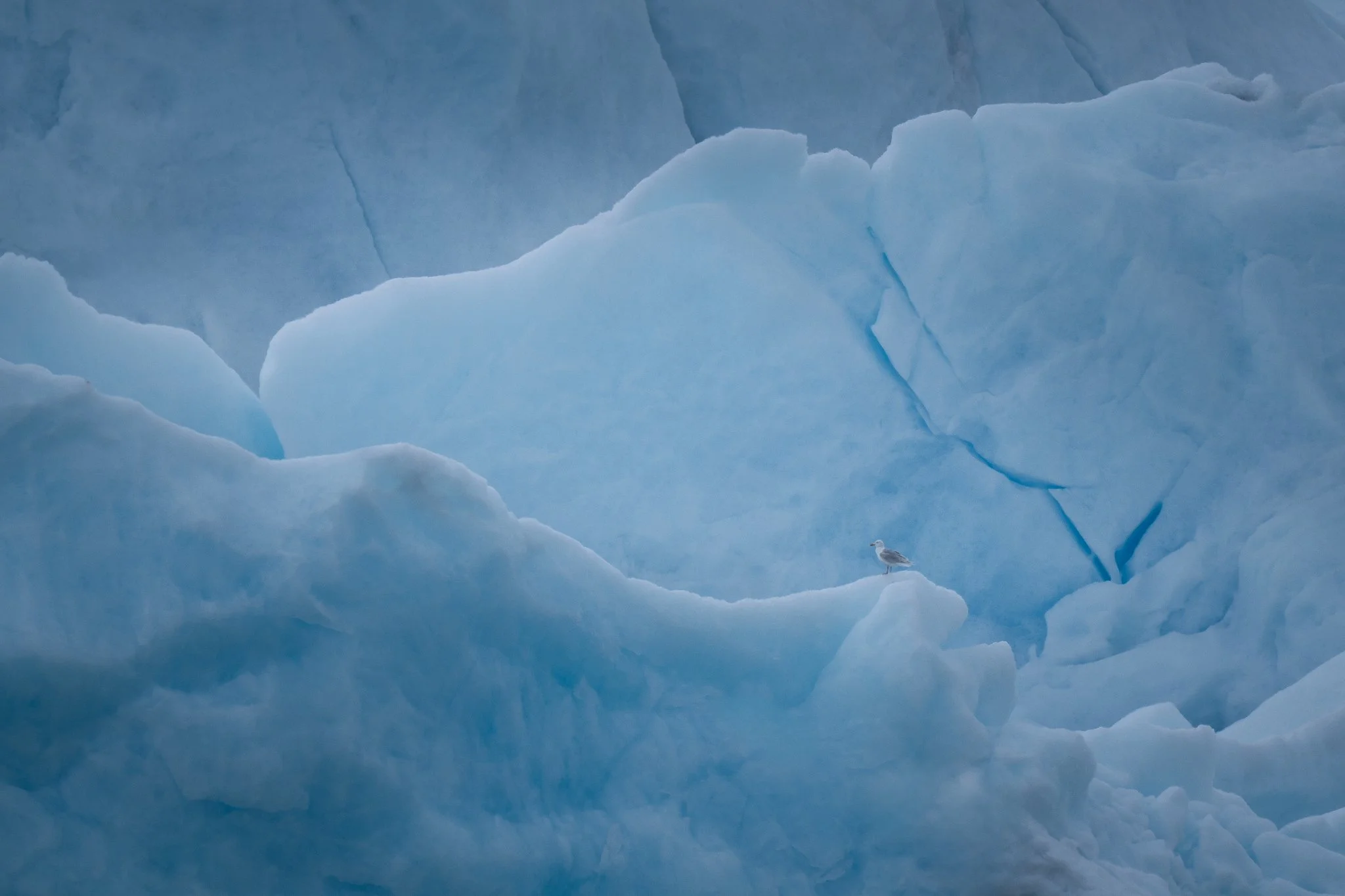 svalbard-019.jpg