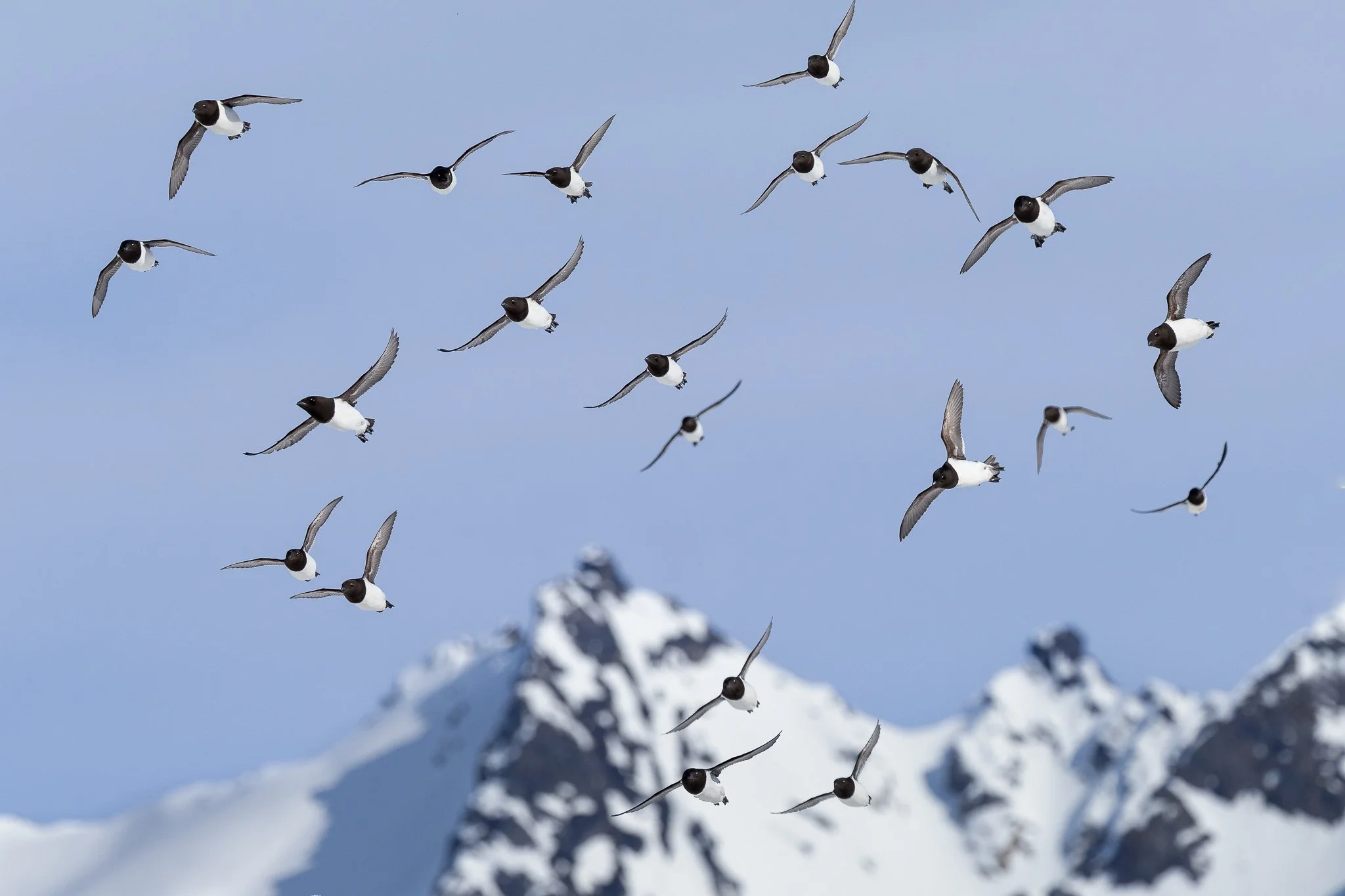 svalbard-016.jpg