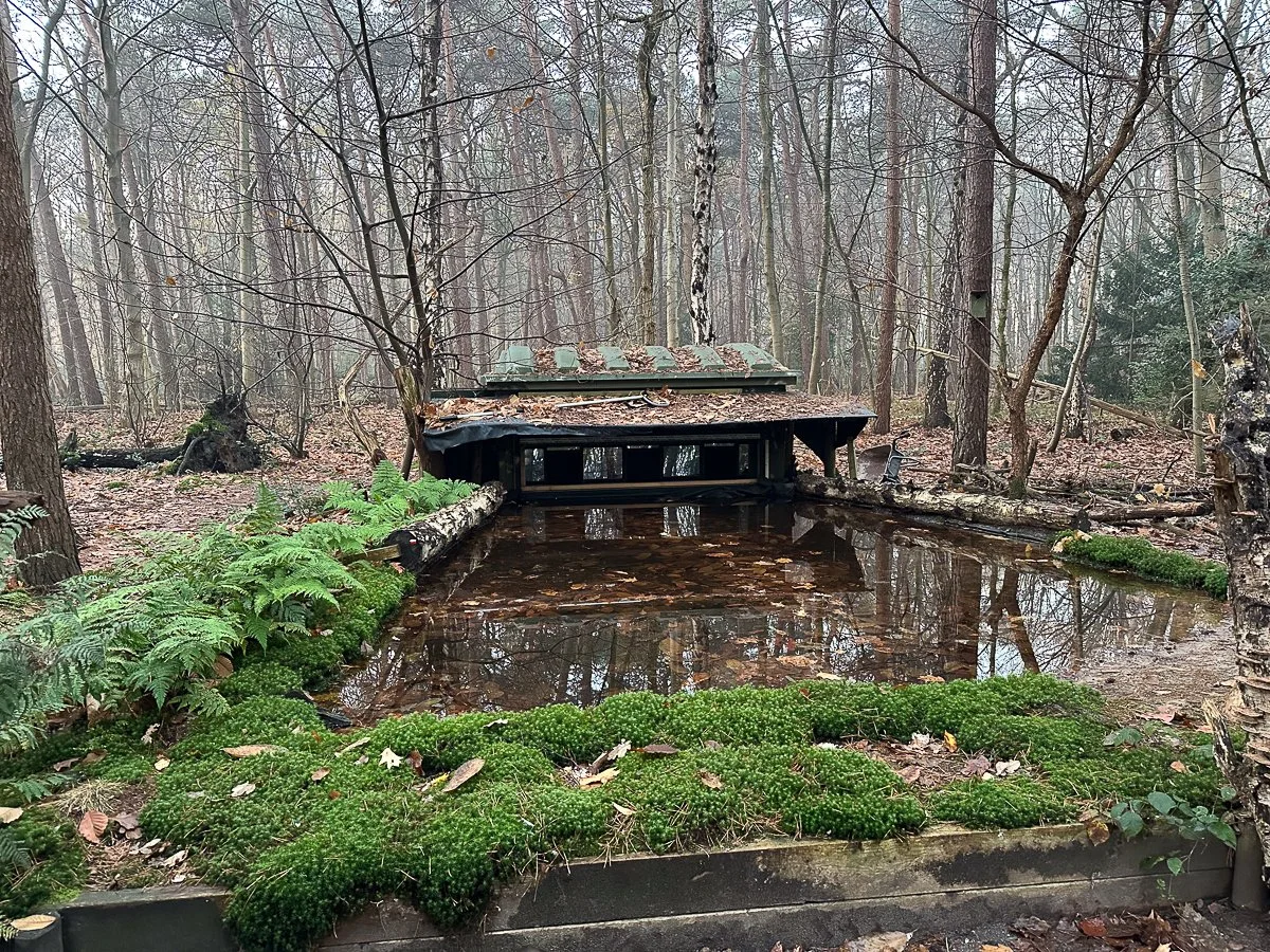 Ein verfallener Brunnen im Wald, mit Wasser und Moos bedeckt.