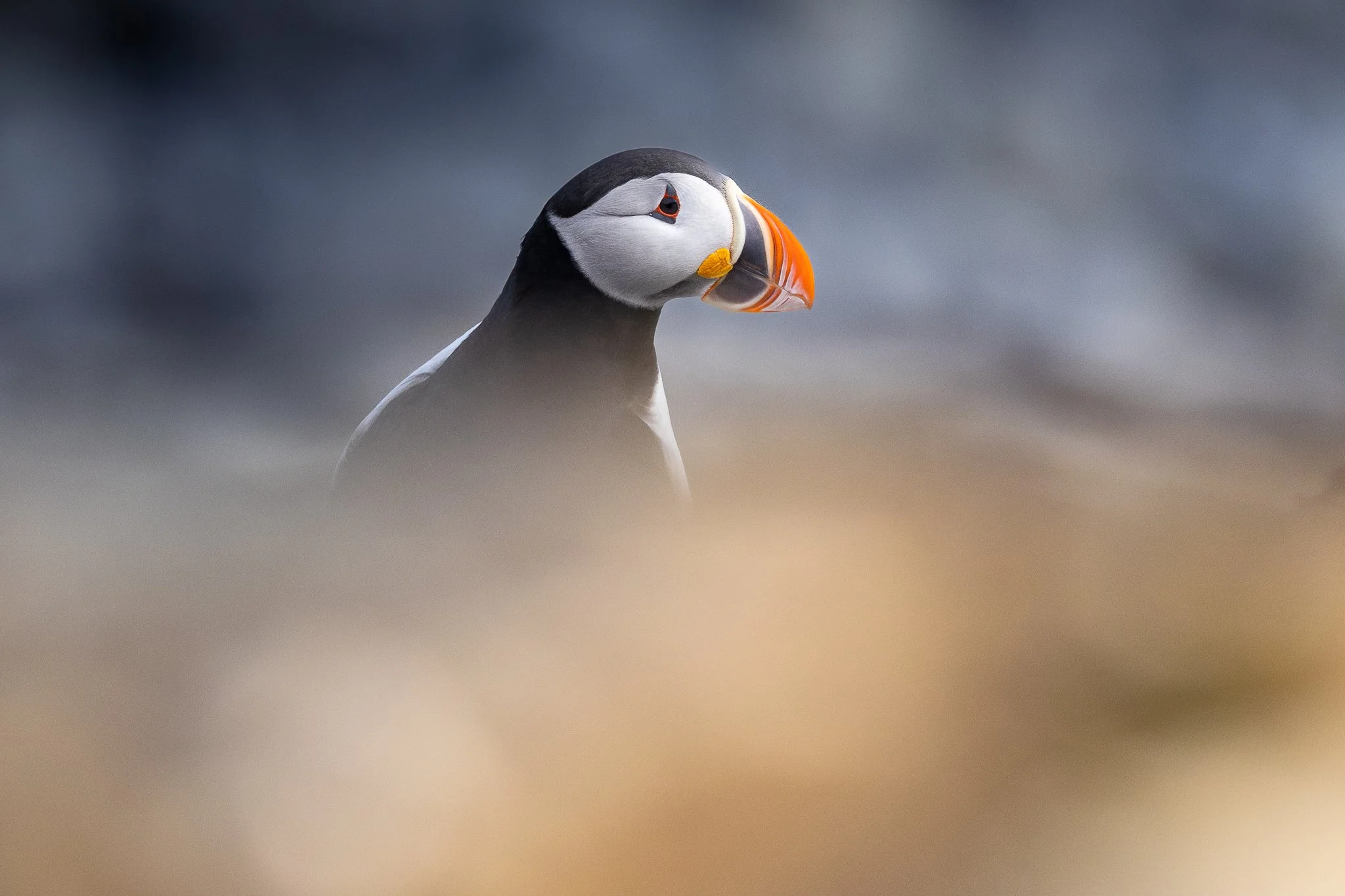 svalbard-060.jpg