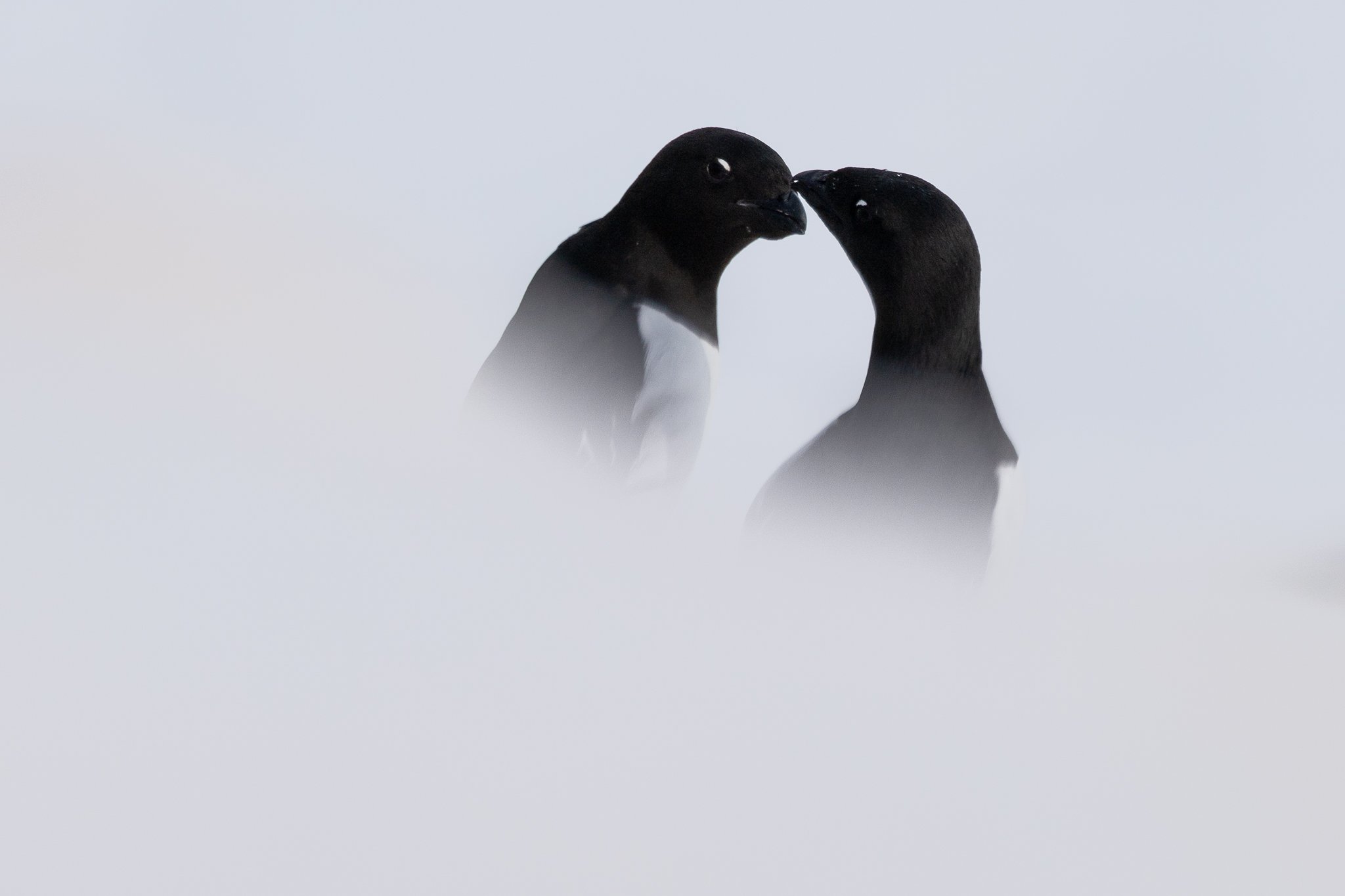 svalbard-008.jpg