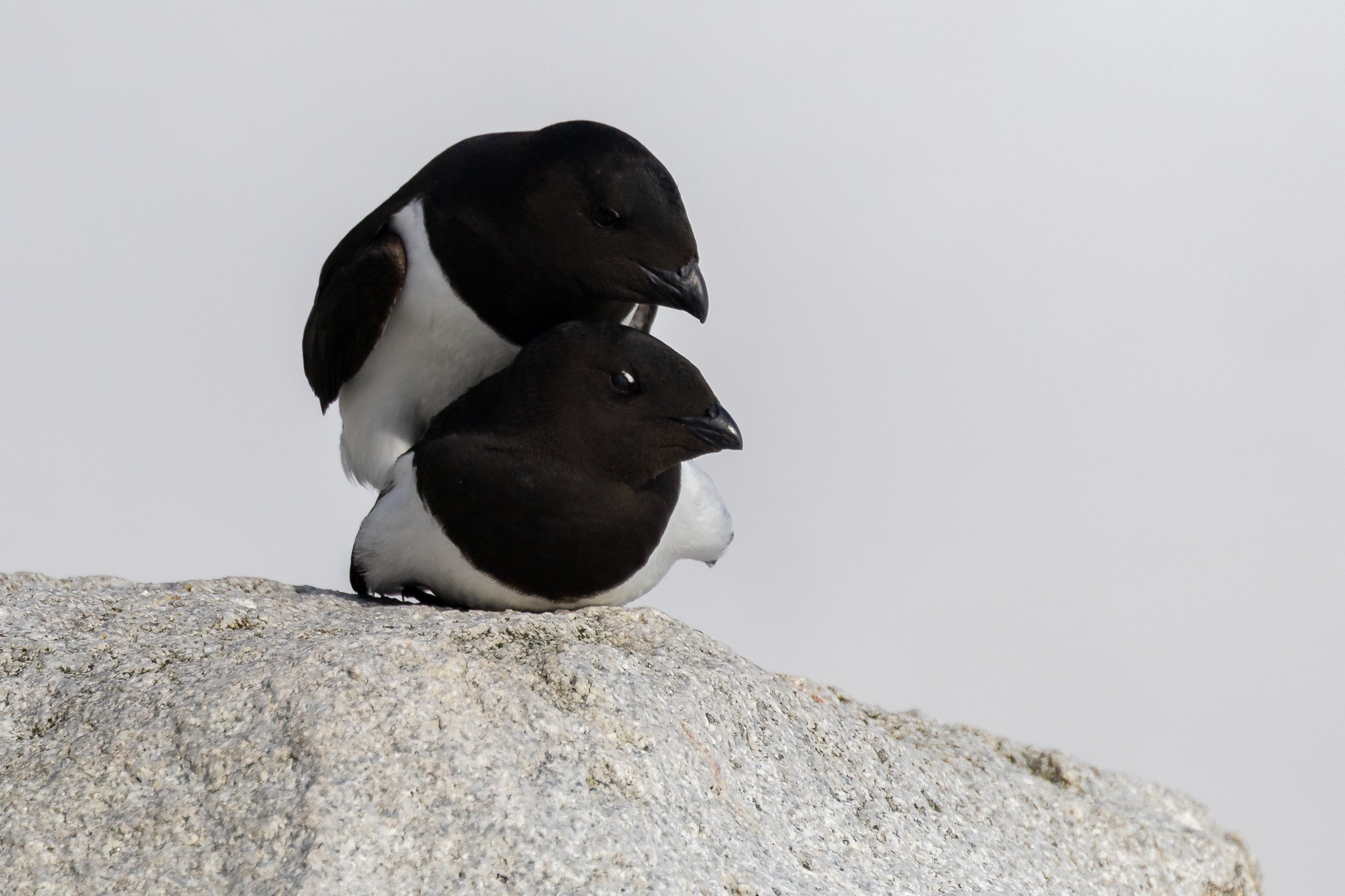 svalbard-010.jpg