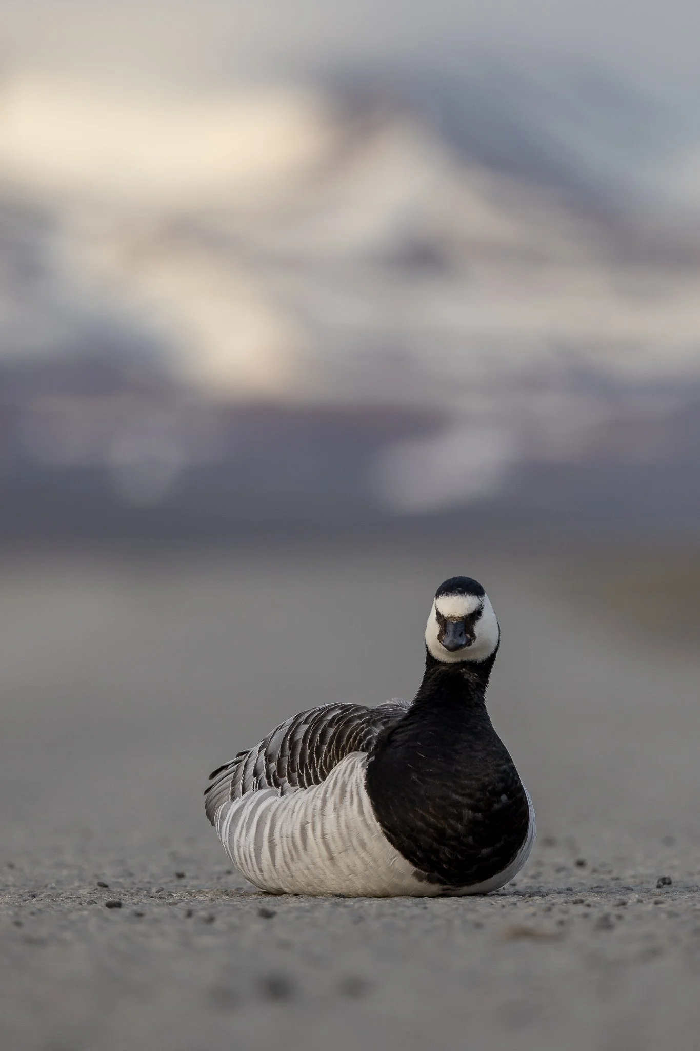 svalbard-094.jpg