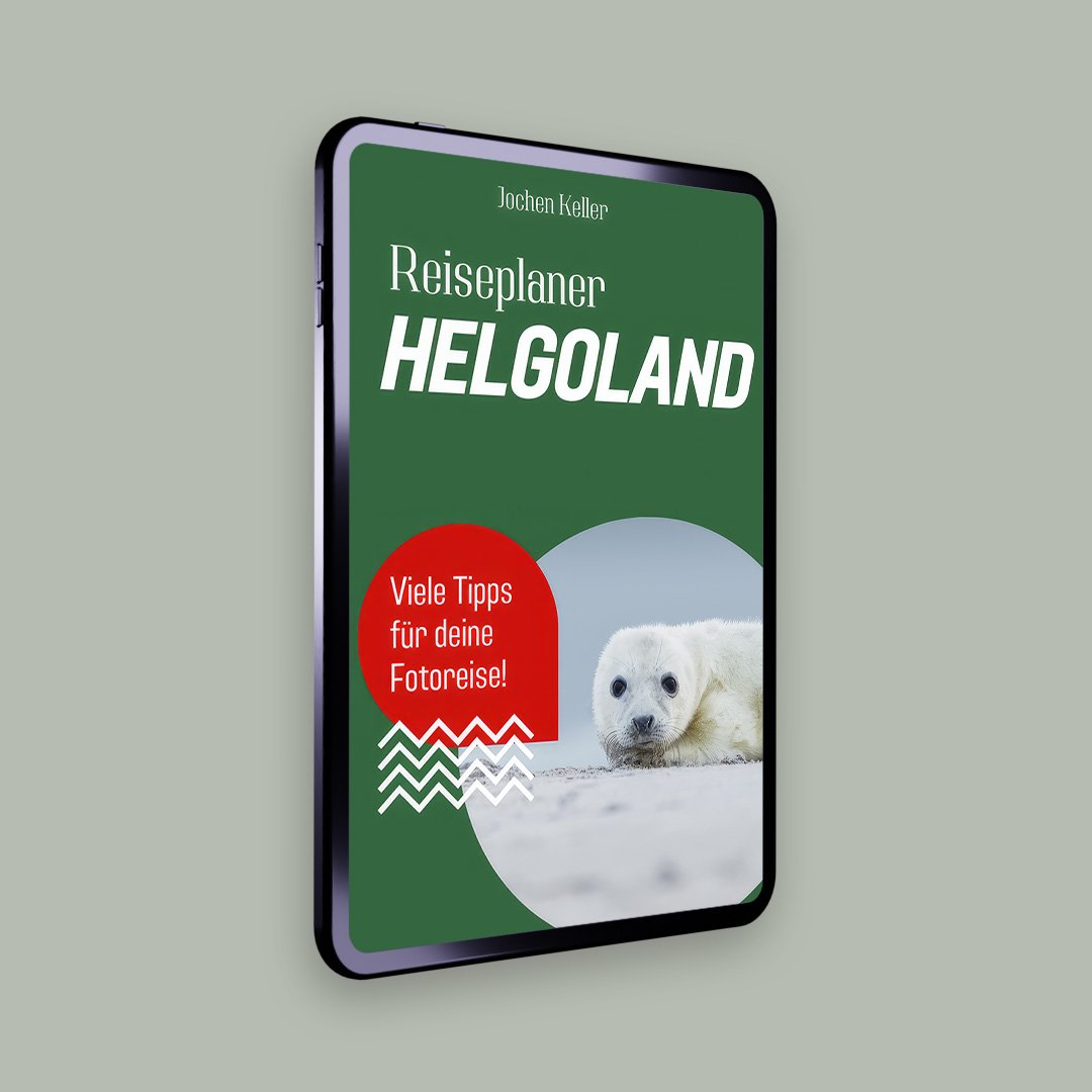 hp-bild.jpg