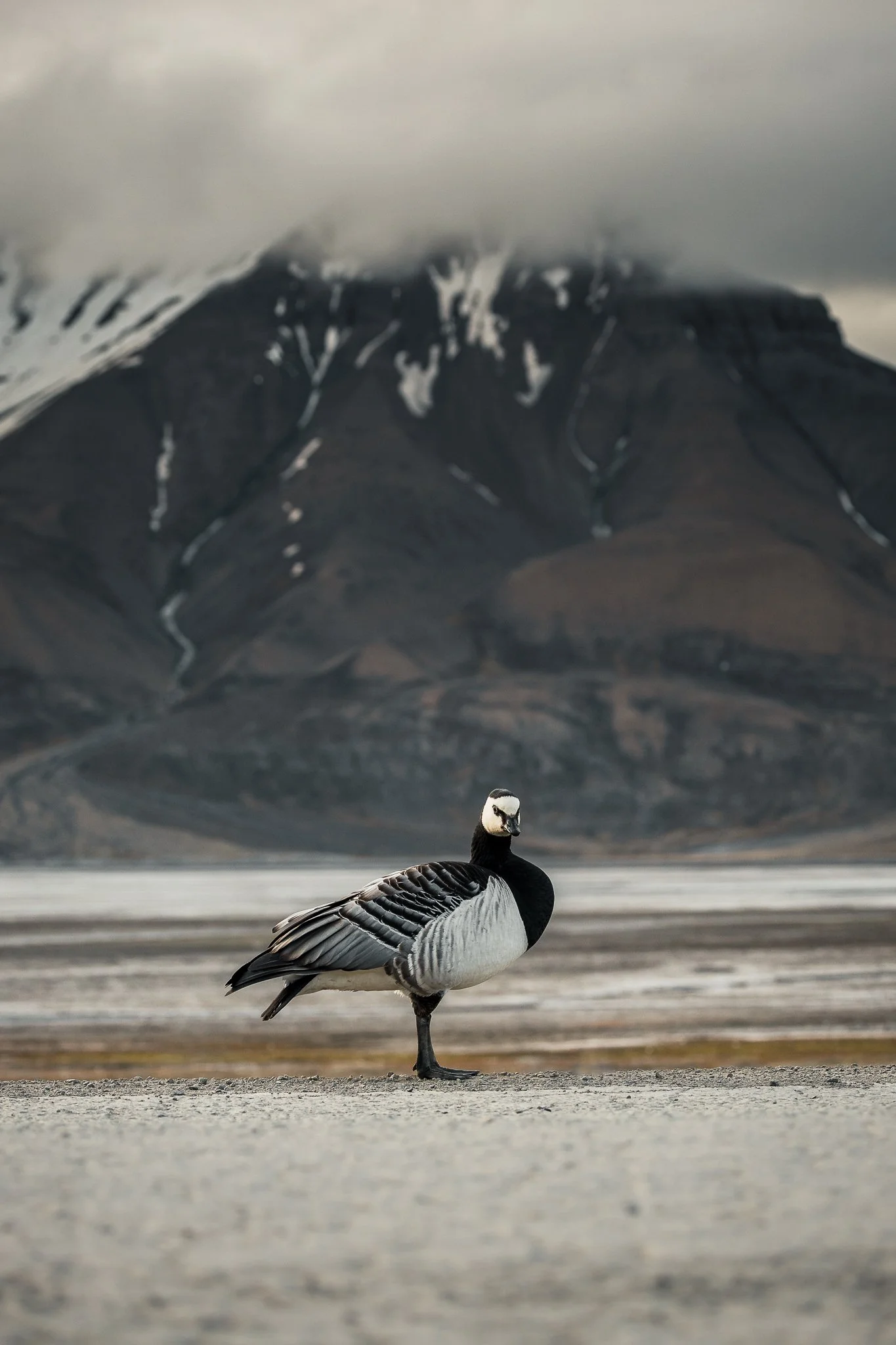 svalbard-095.jpg