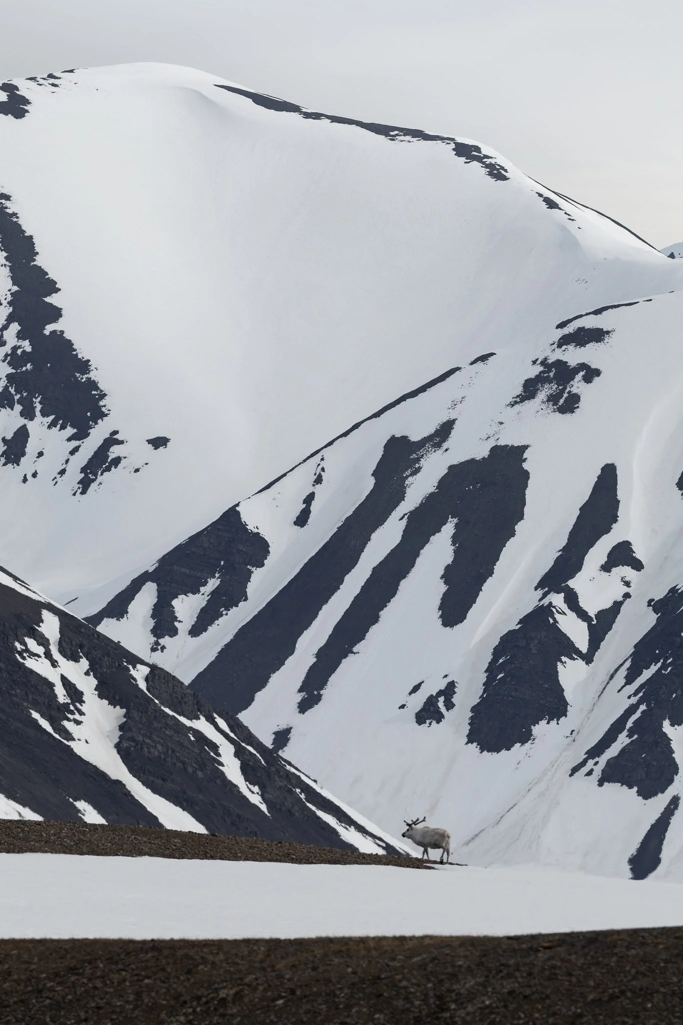 svalbard-021.jpg