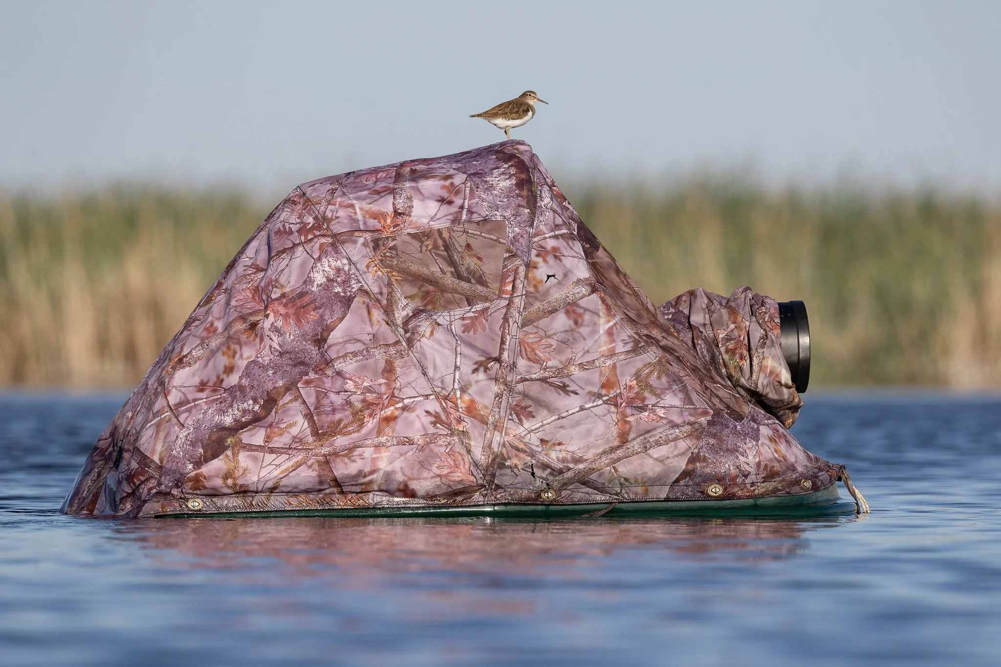 Unterwasserjagd mit Tarnzelt, Wasser, Seegras im Hintergrund, Vogel auf Tarnzelt.