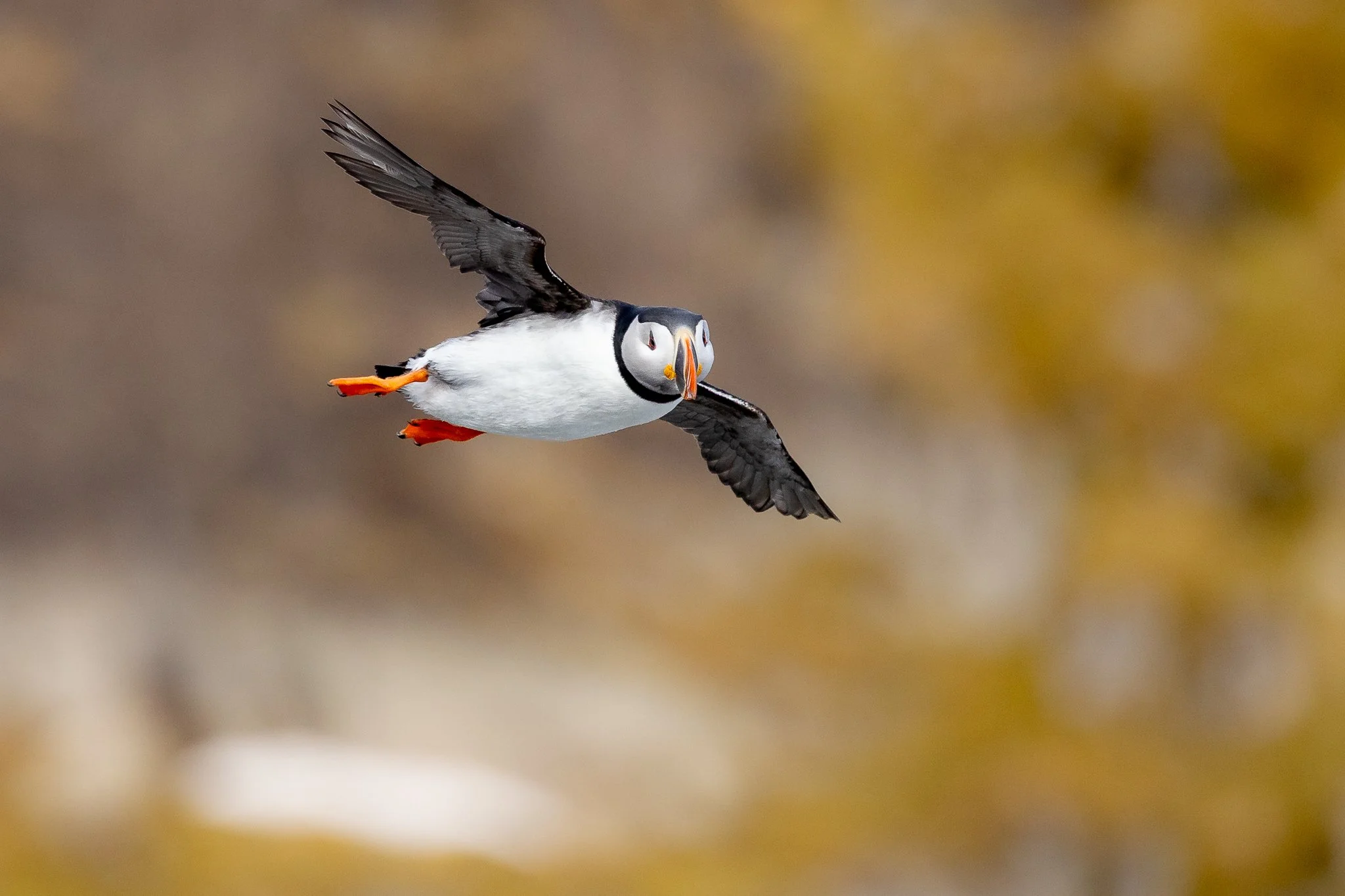 svalbard-052.jpg