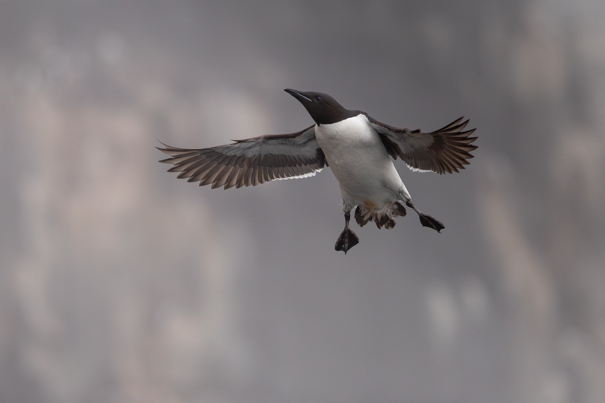 svalbard-024.jpg
