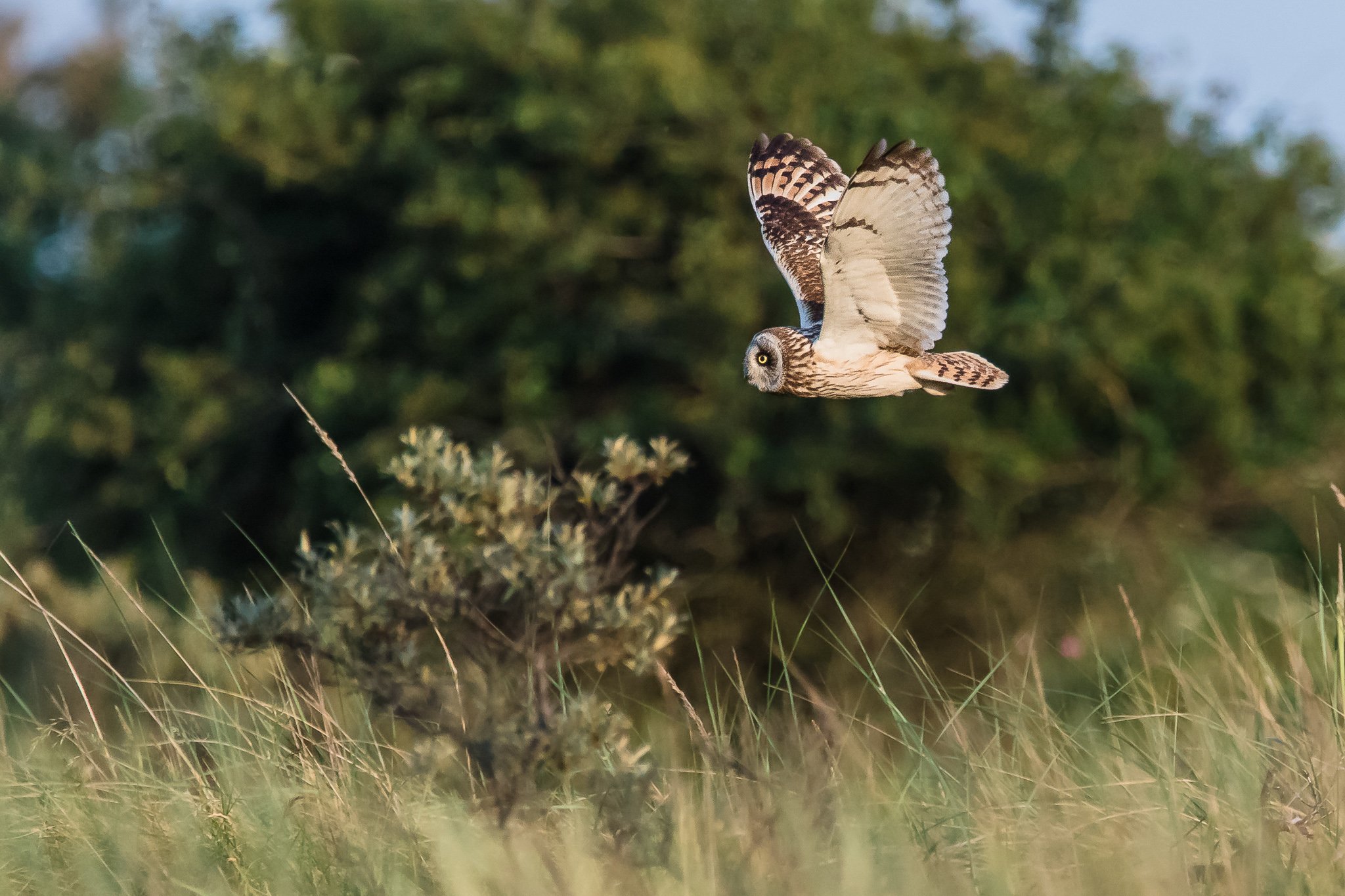 borkum2019-027.jpg
