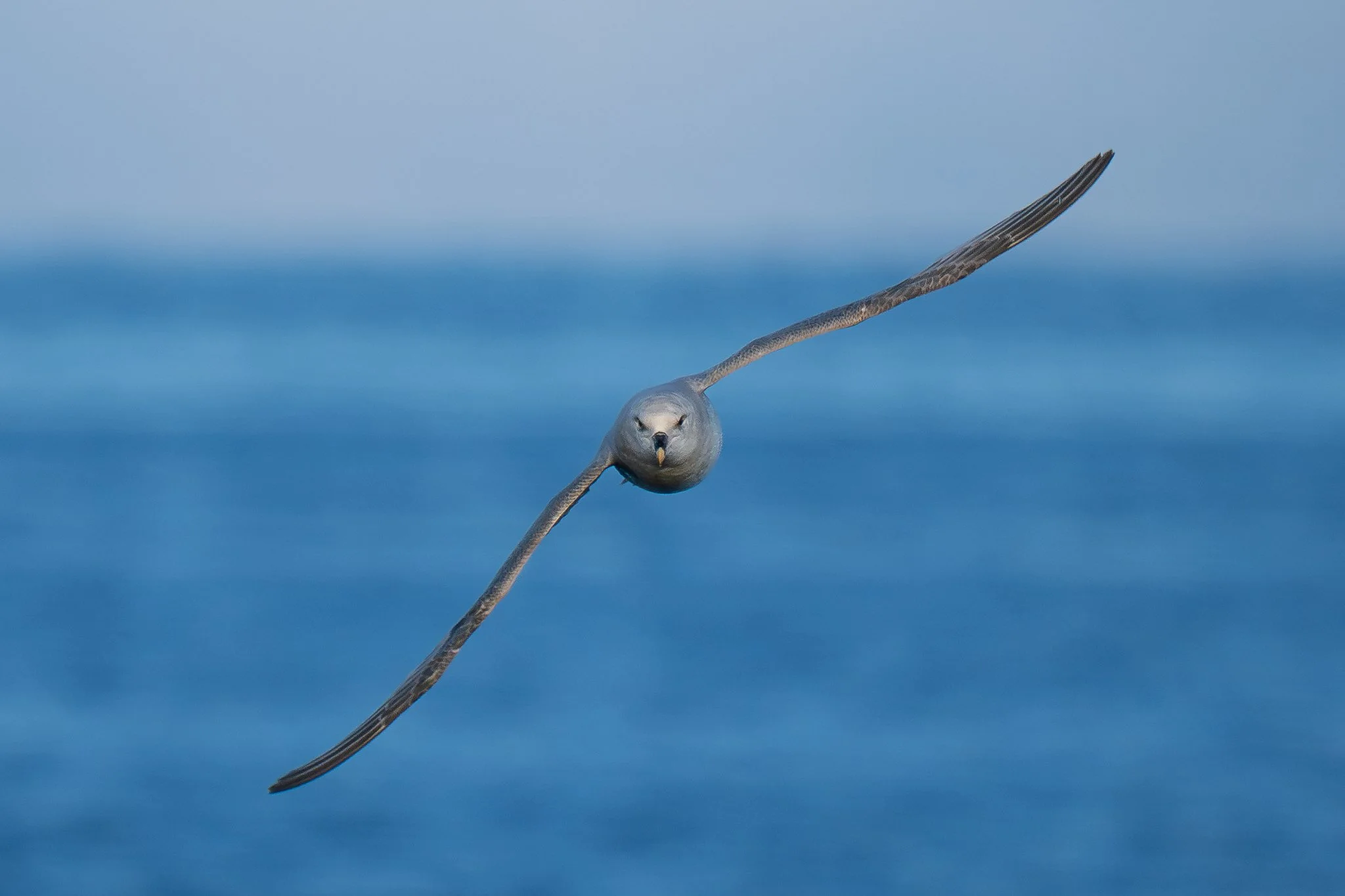 svalbard-049.jpg