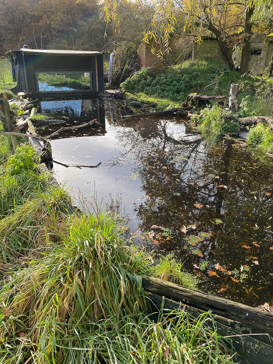 Ein Fotohide mit Teich, umgeben von Gras und Bäumen in einem Garten.