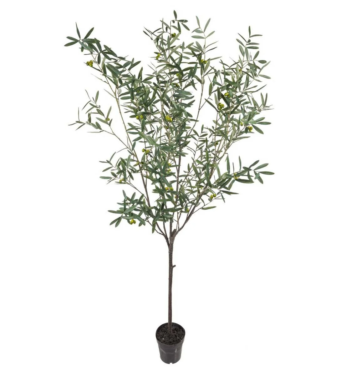 Naturtro oliventre 230 cm